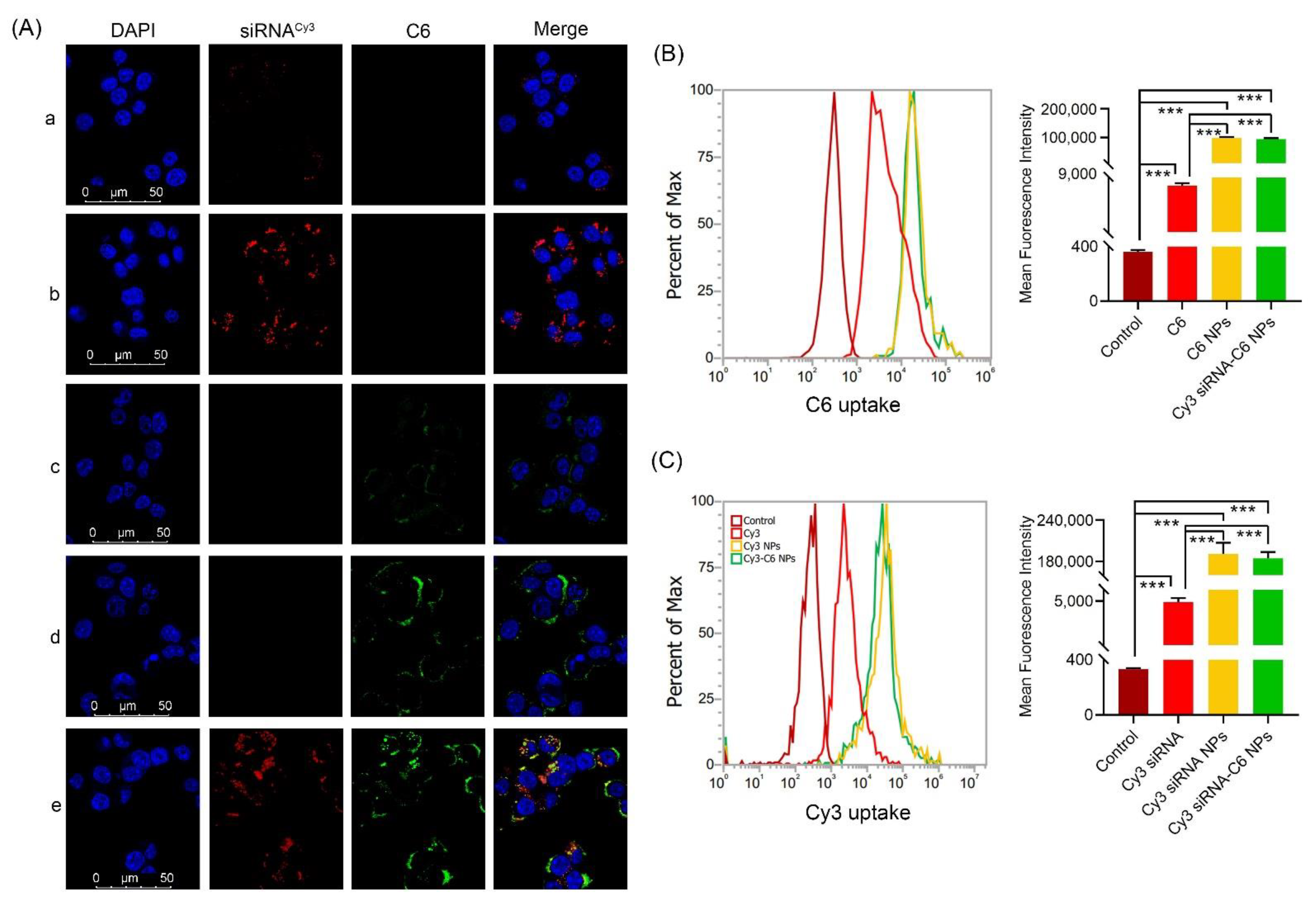 Pharmaceutics 14 01369 g004 Pharmaceutics 14 01369 g004