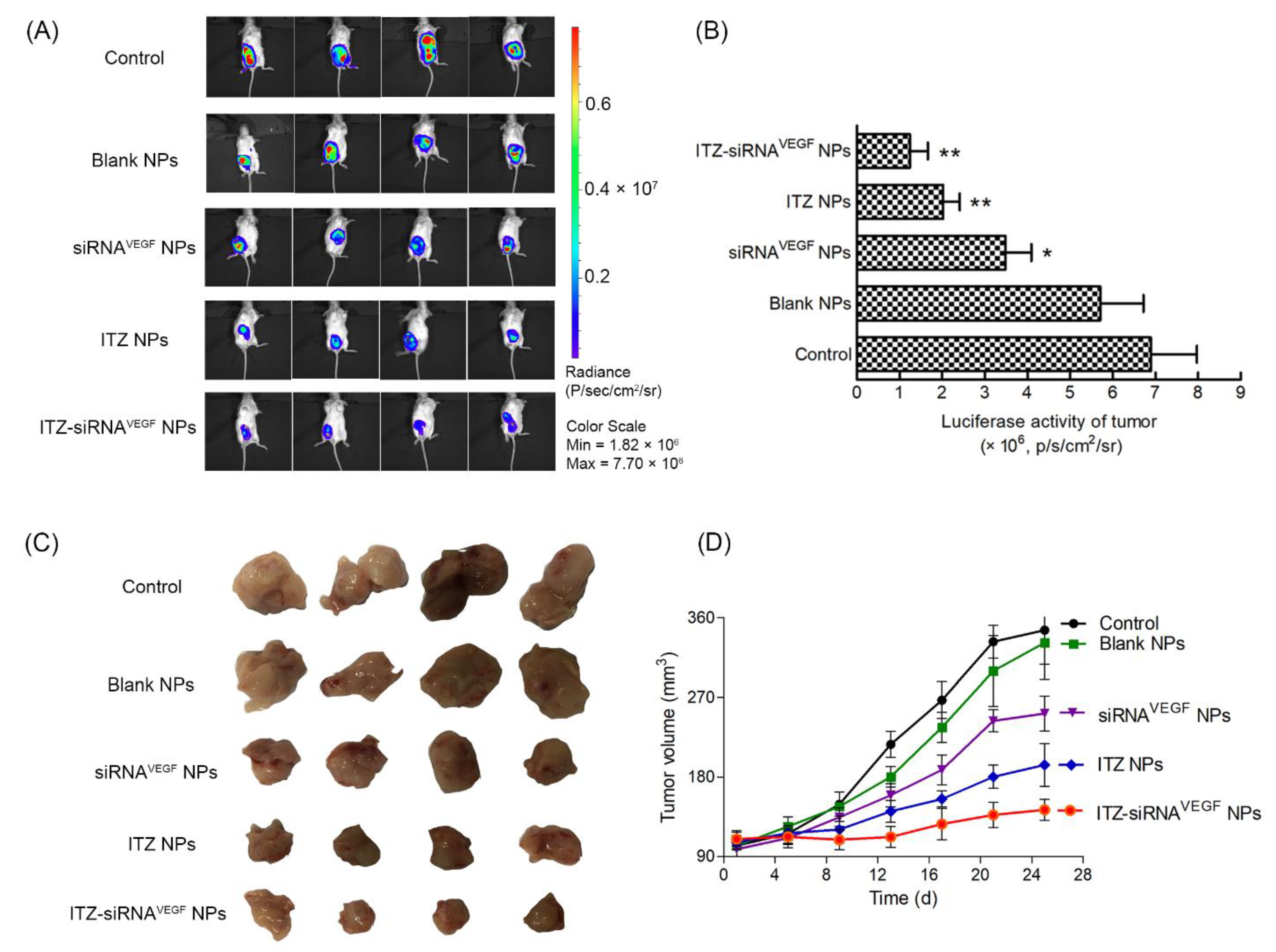 Pharmaceutics 14 01369 g008 Pharmaceutics 14 01369 g008