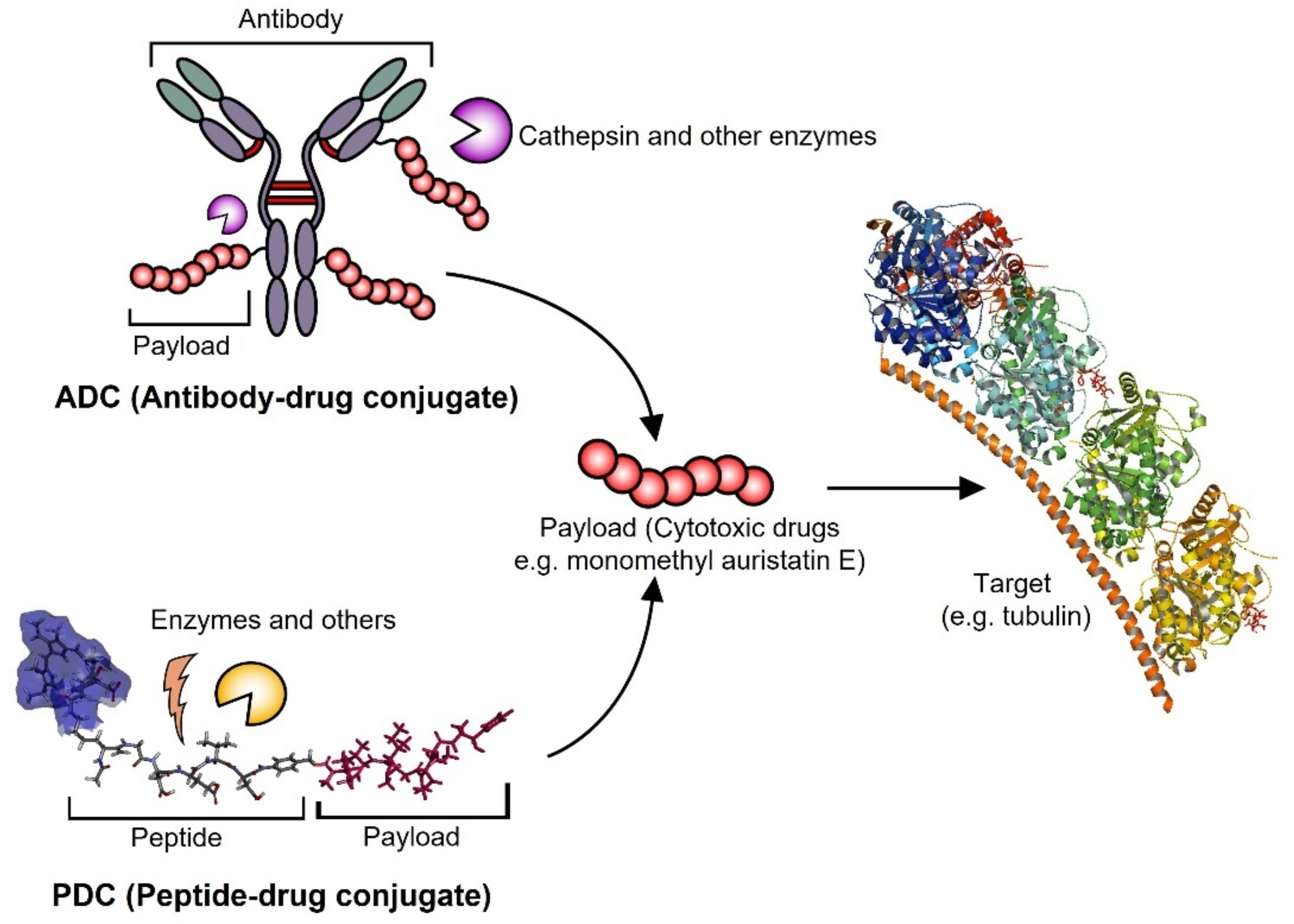 Pharmaceutics 14 01378 g003 Pharmaceutics 14 01378 g003