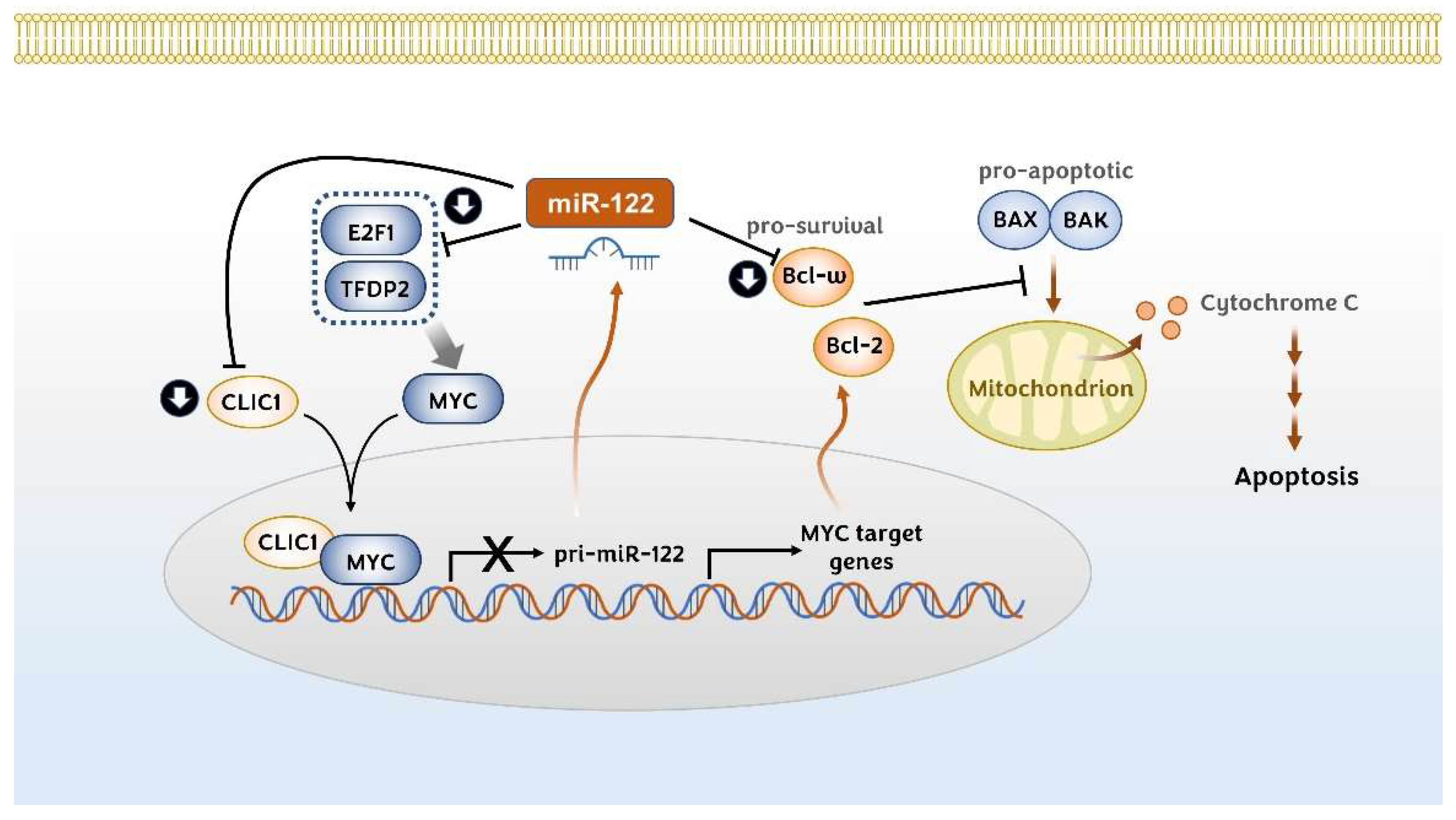 Pharmaceutics 14 01380 g003