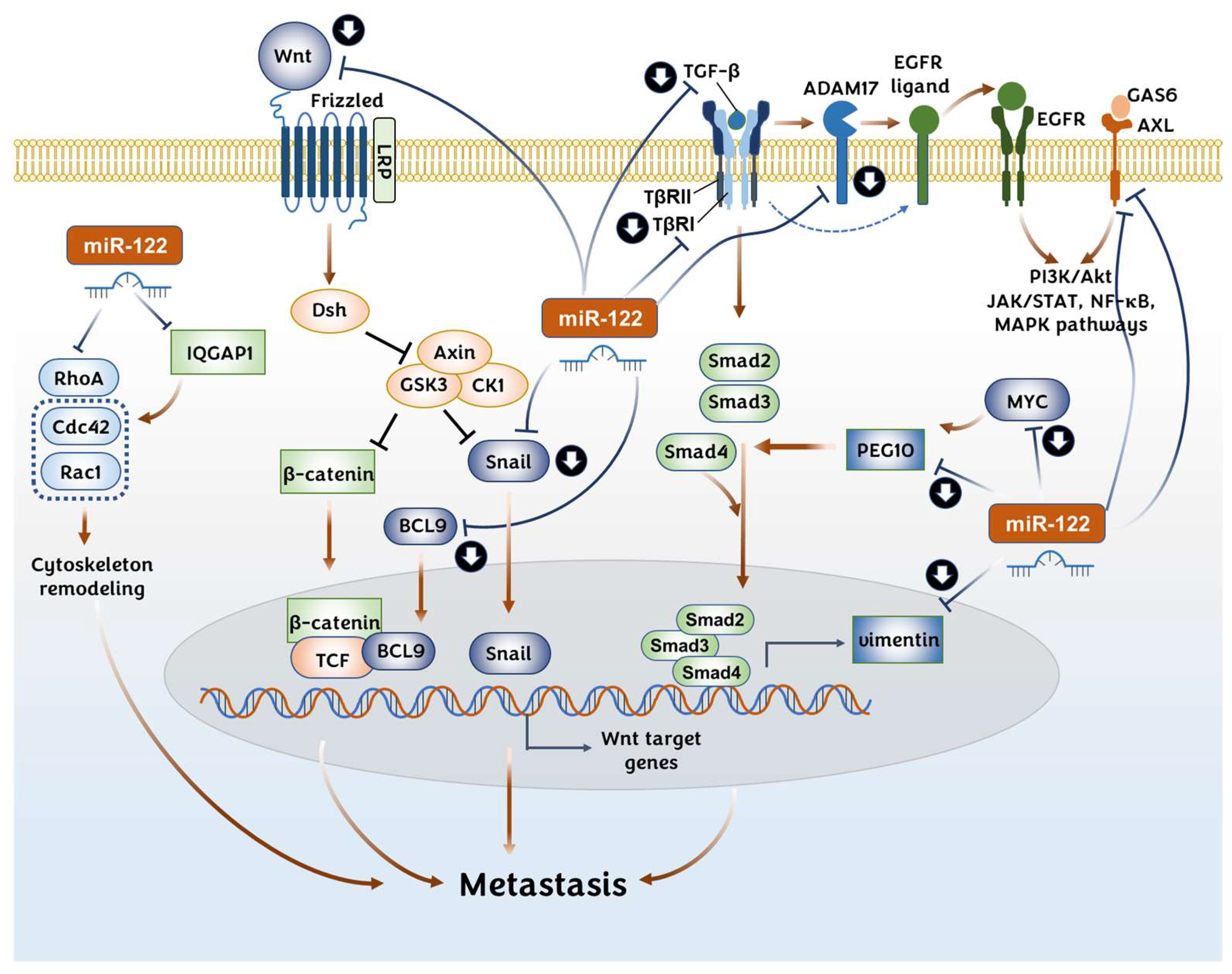 Pharmaceutics 14 01380 g004