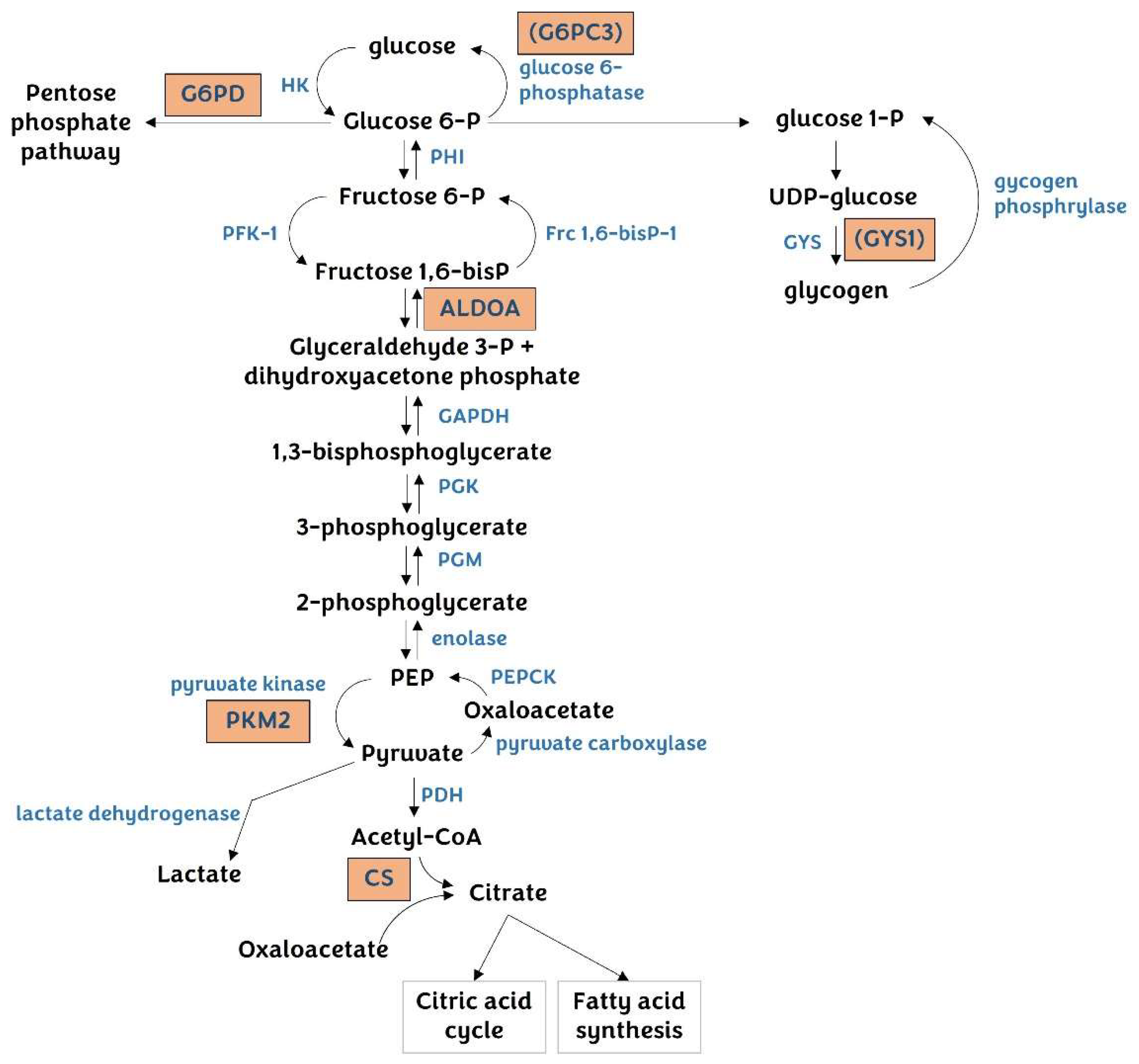 Pharmaceutics 14 01380 g006
