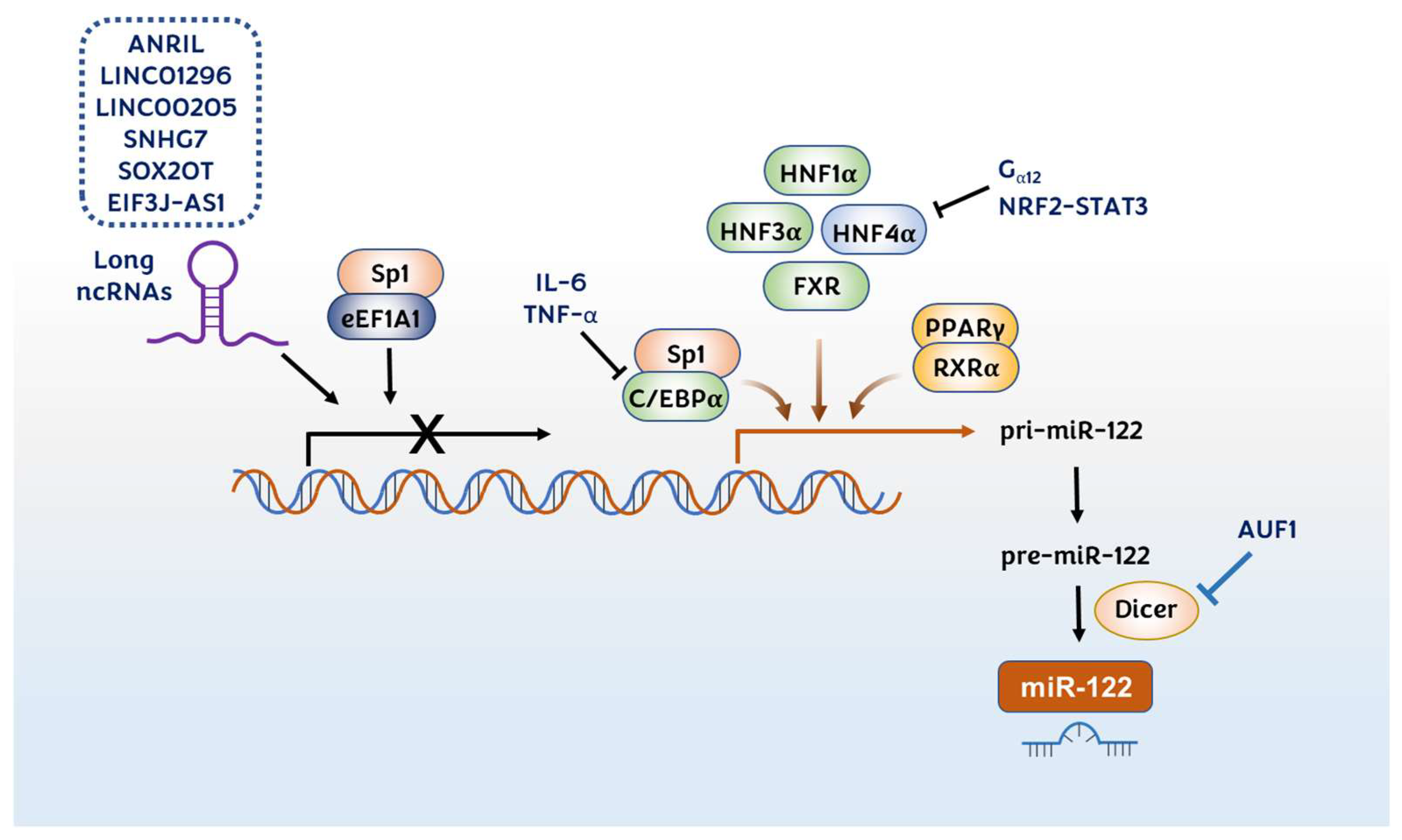 Pharmaceutics 14 01380 g007