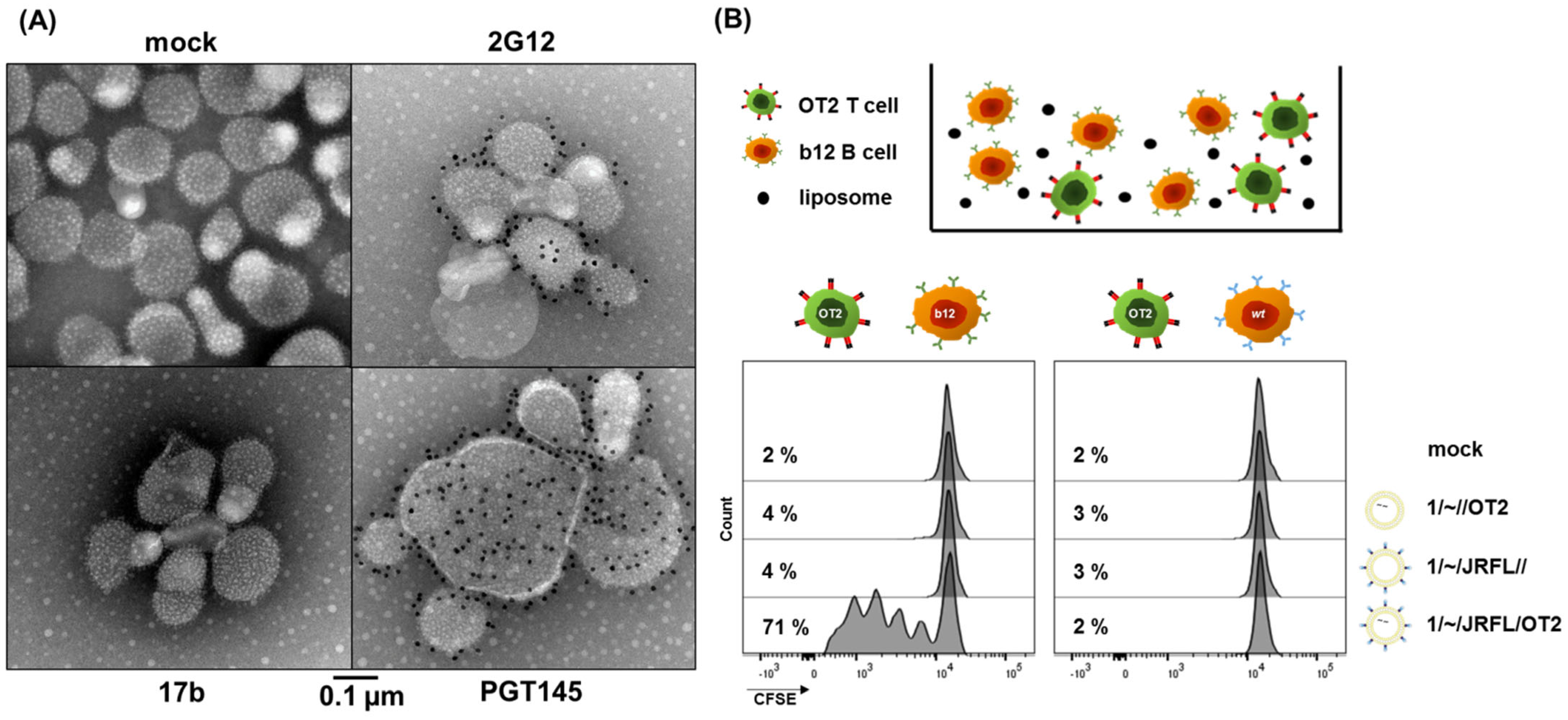 Pharmaceutics 14 01385 g001