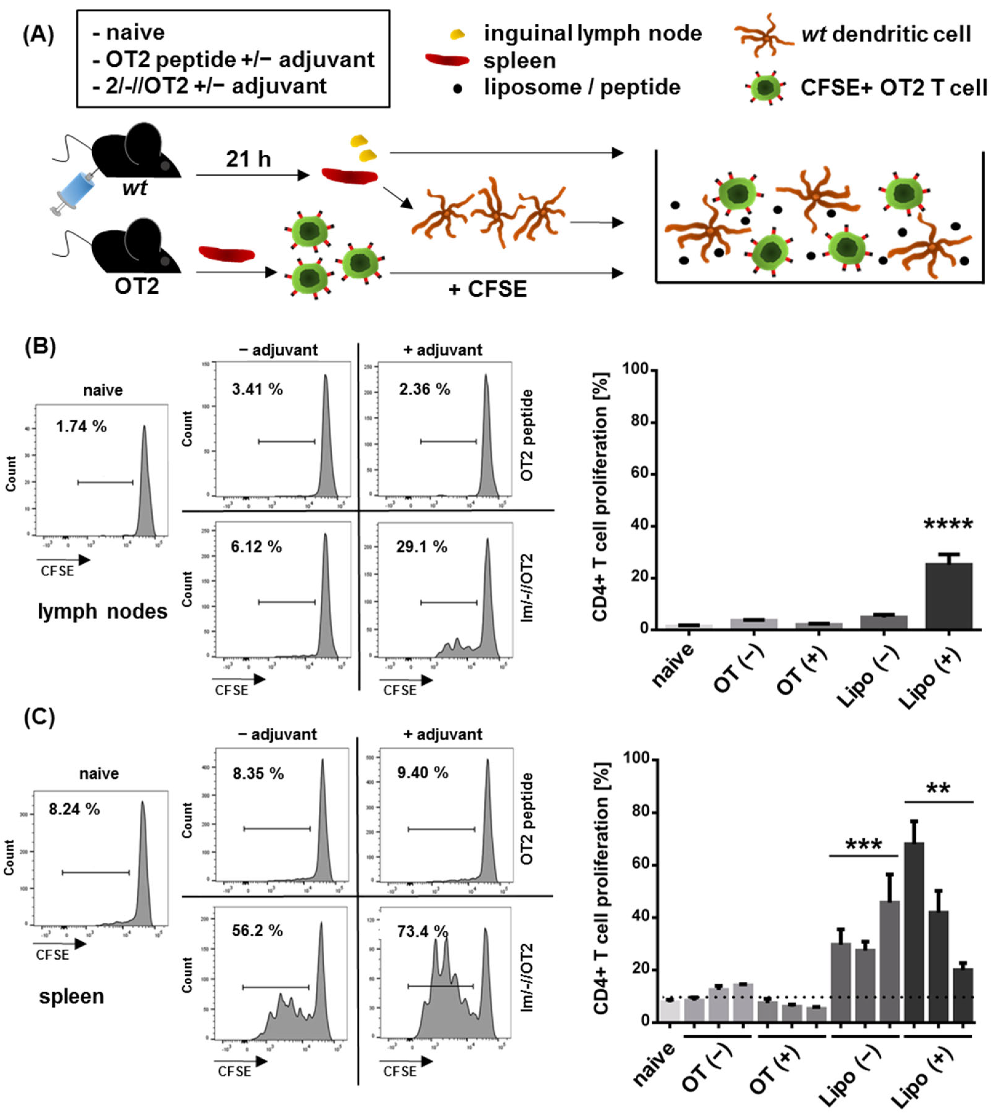 Pharmaceutics 14 01385 g003