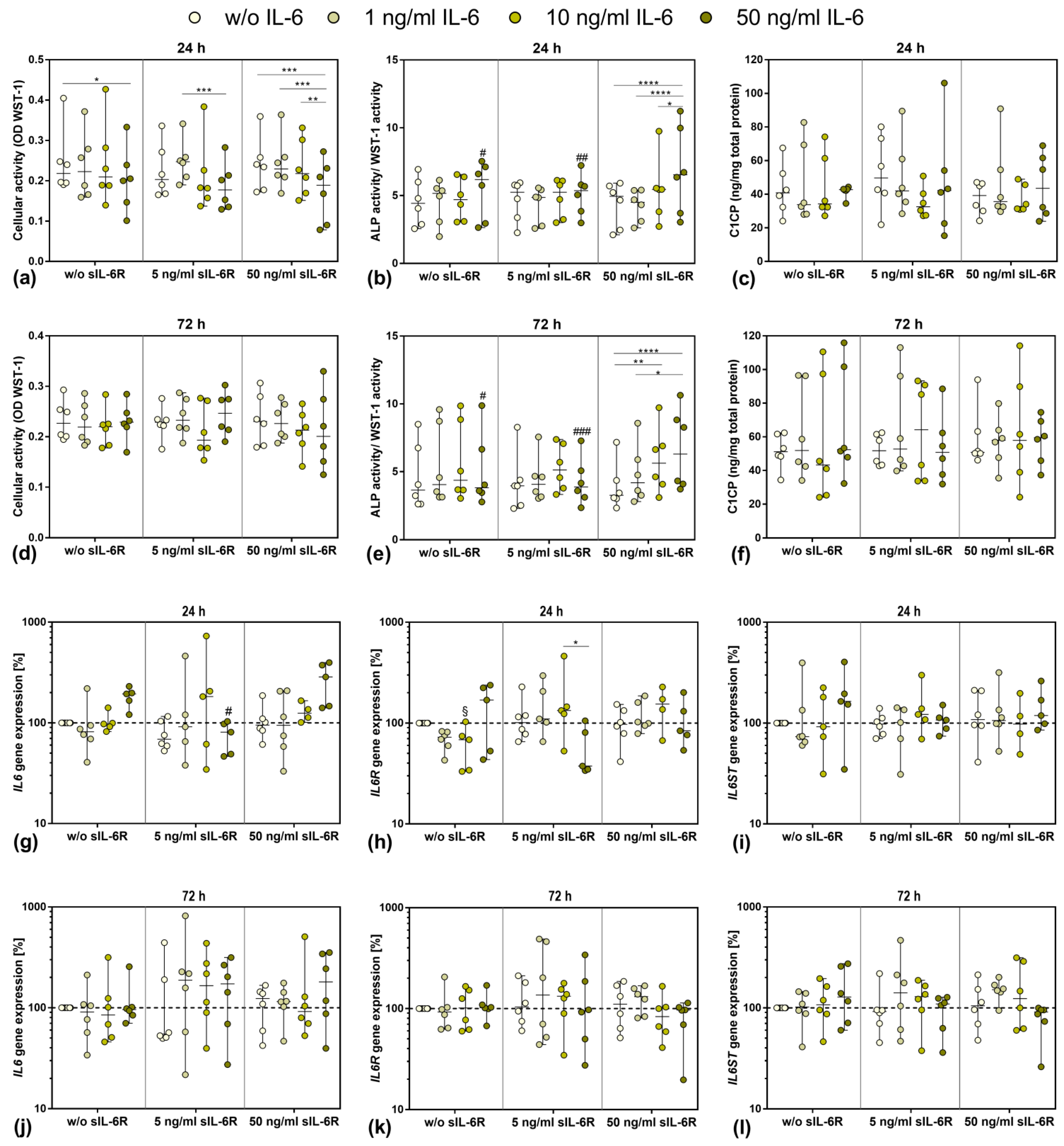 Pharmaceutics 14 01390 g002