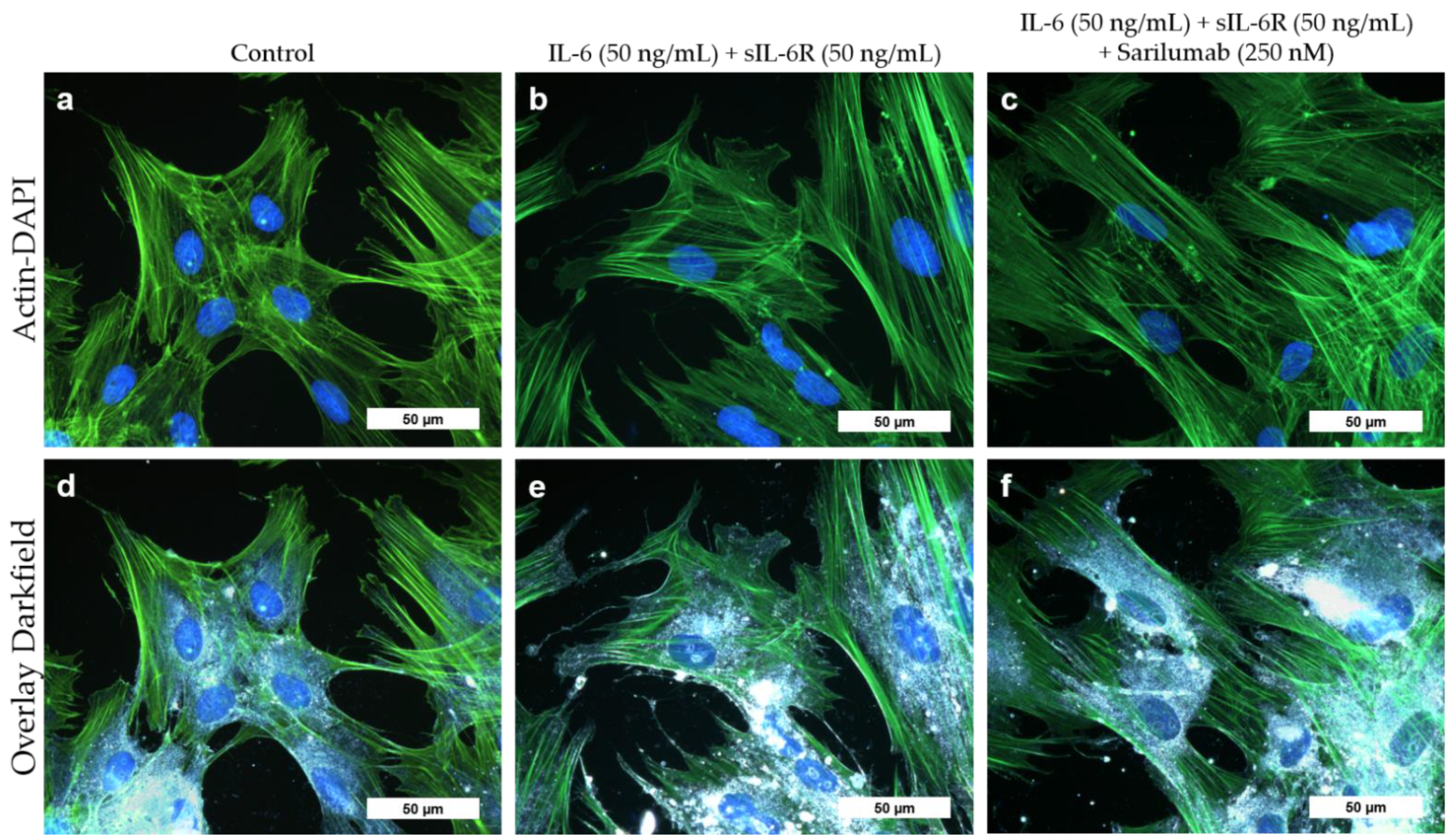Pharmaceutics 14 01390 g003