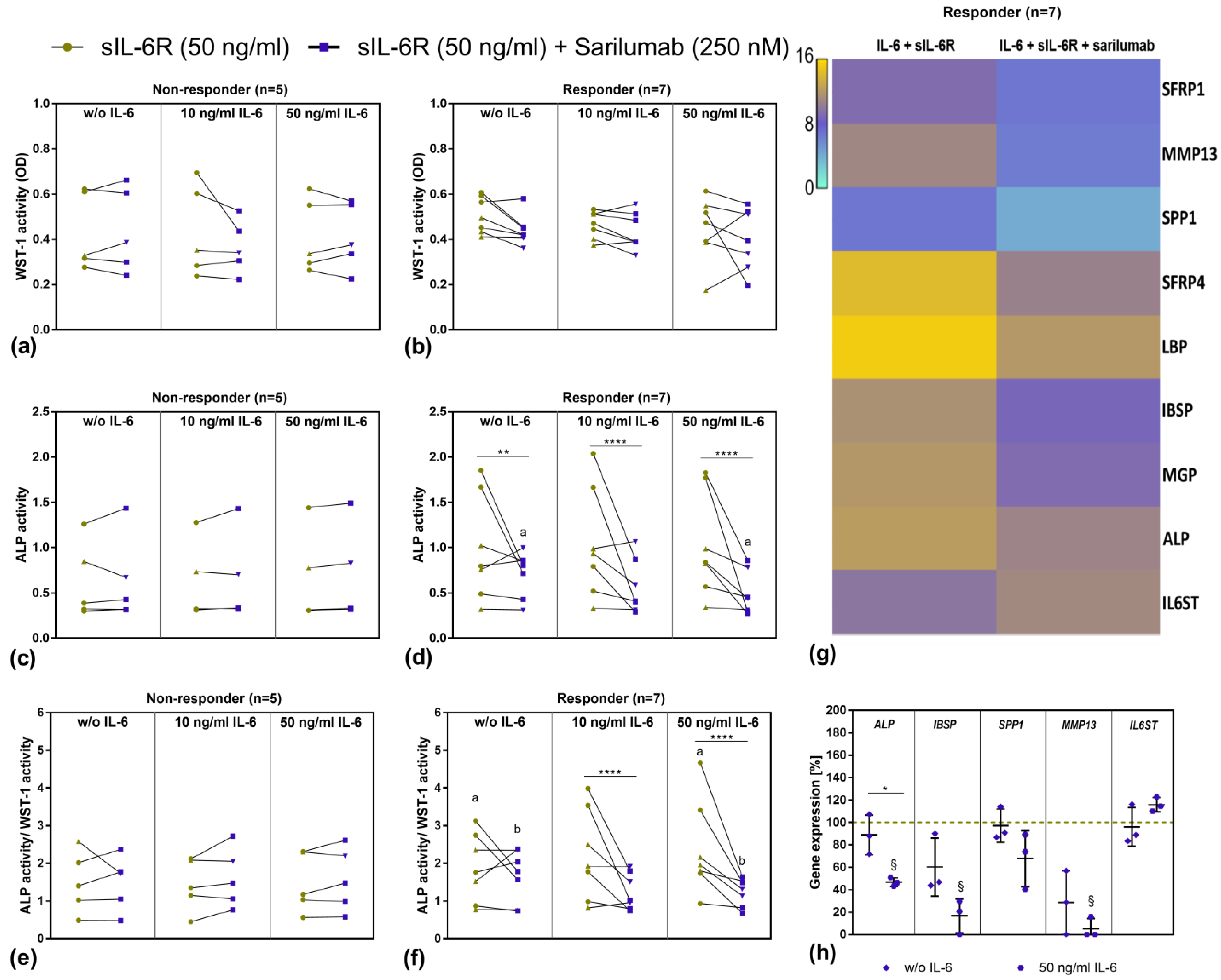 Pharmaceutics 14 01390 g005