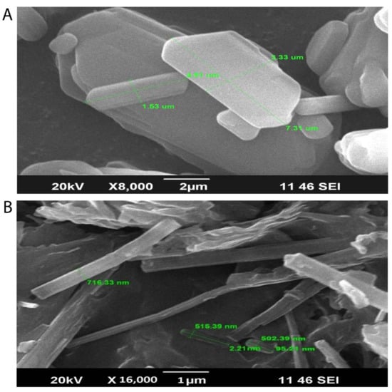 Pharmaceutics 14 01393 g003 Pharmaceutics 14 01393 g003