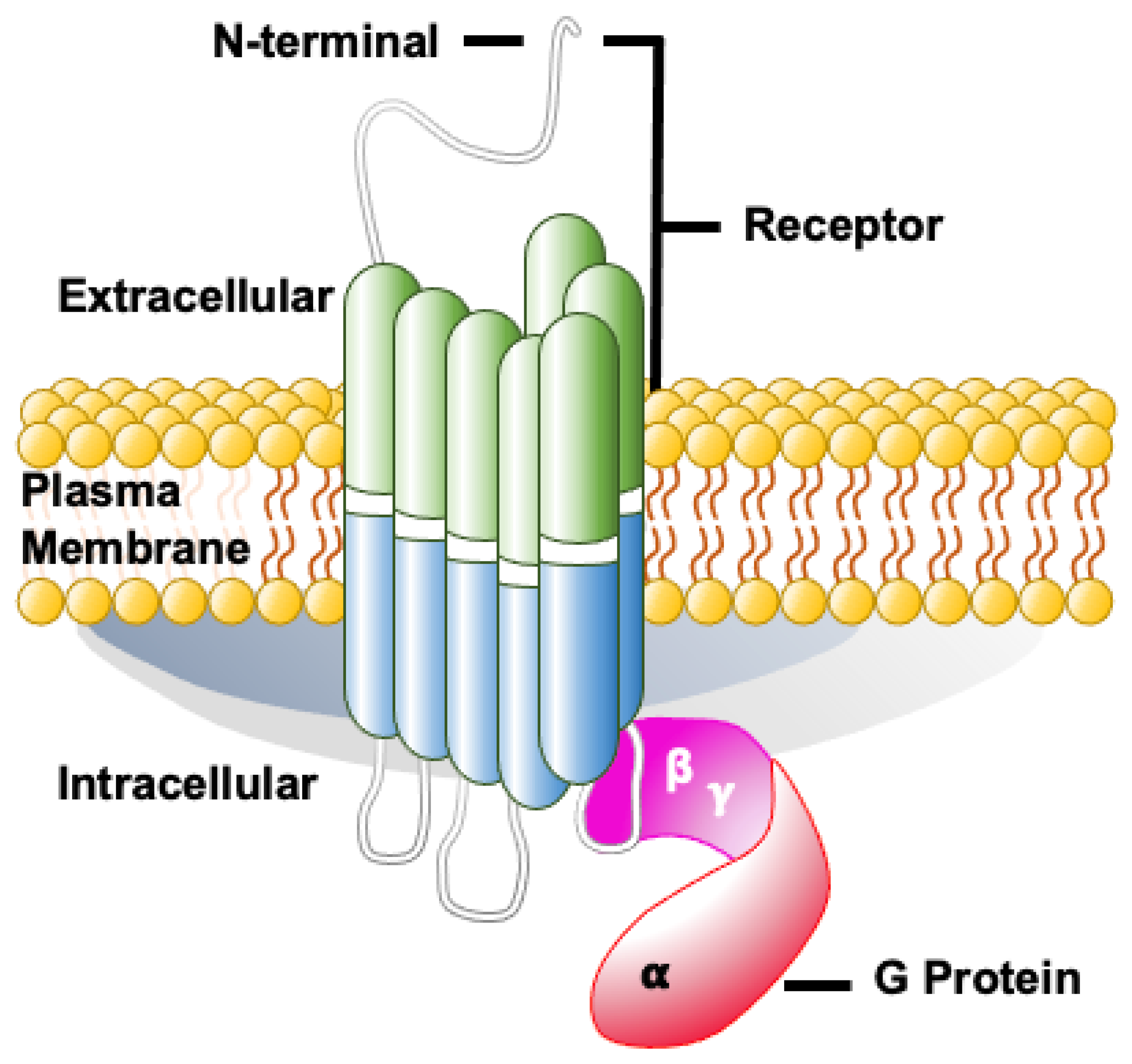 Pharmaceutics 14 01394 g001