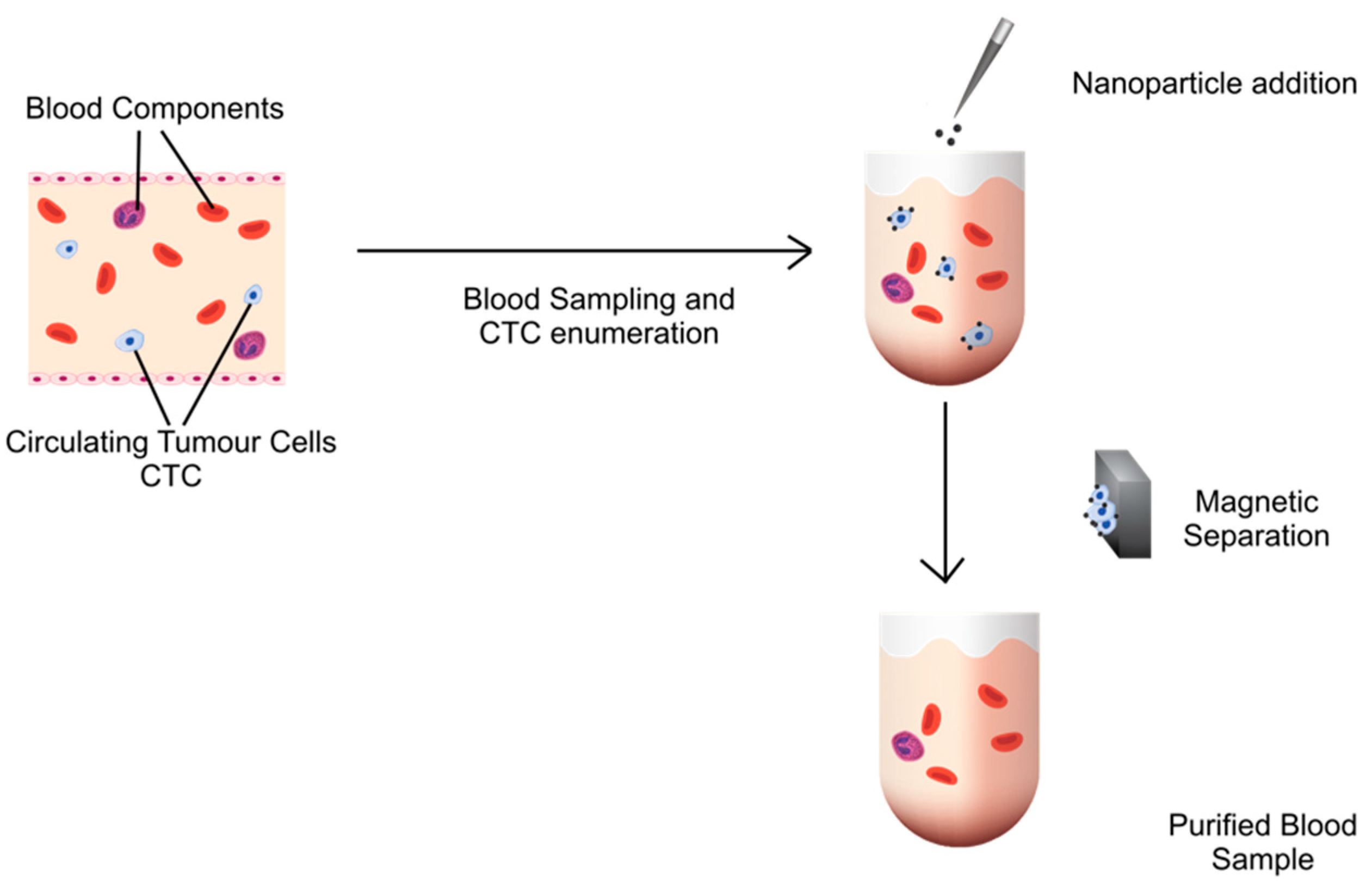 Pharmaceutics 14 01397 g001