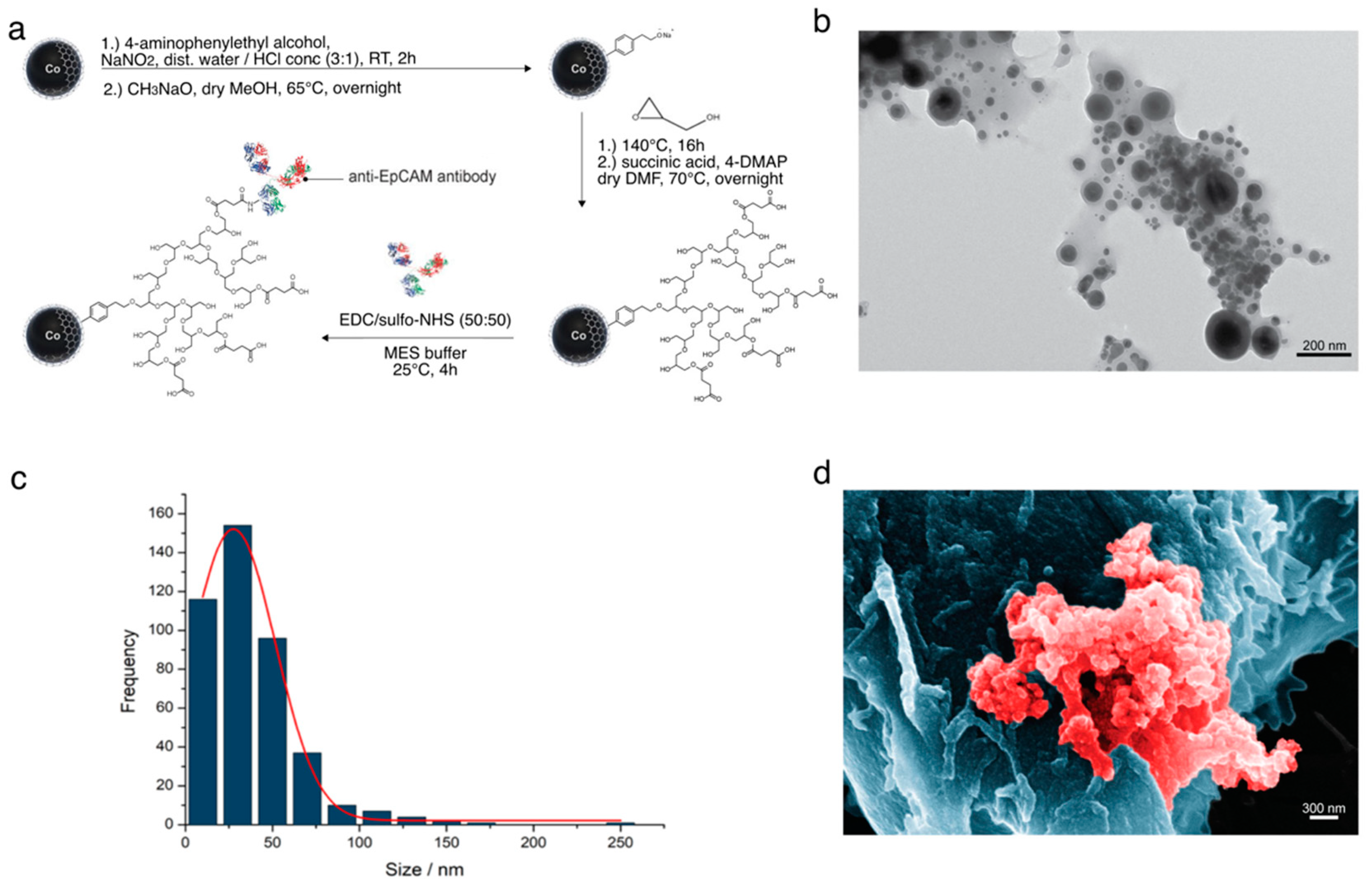 Pharmaceutics 14 01397 g002