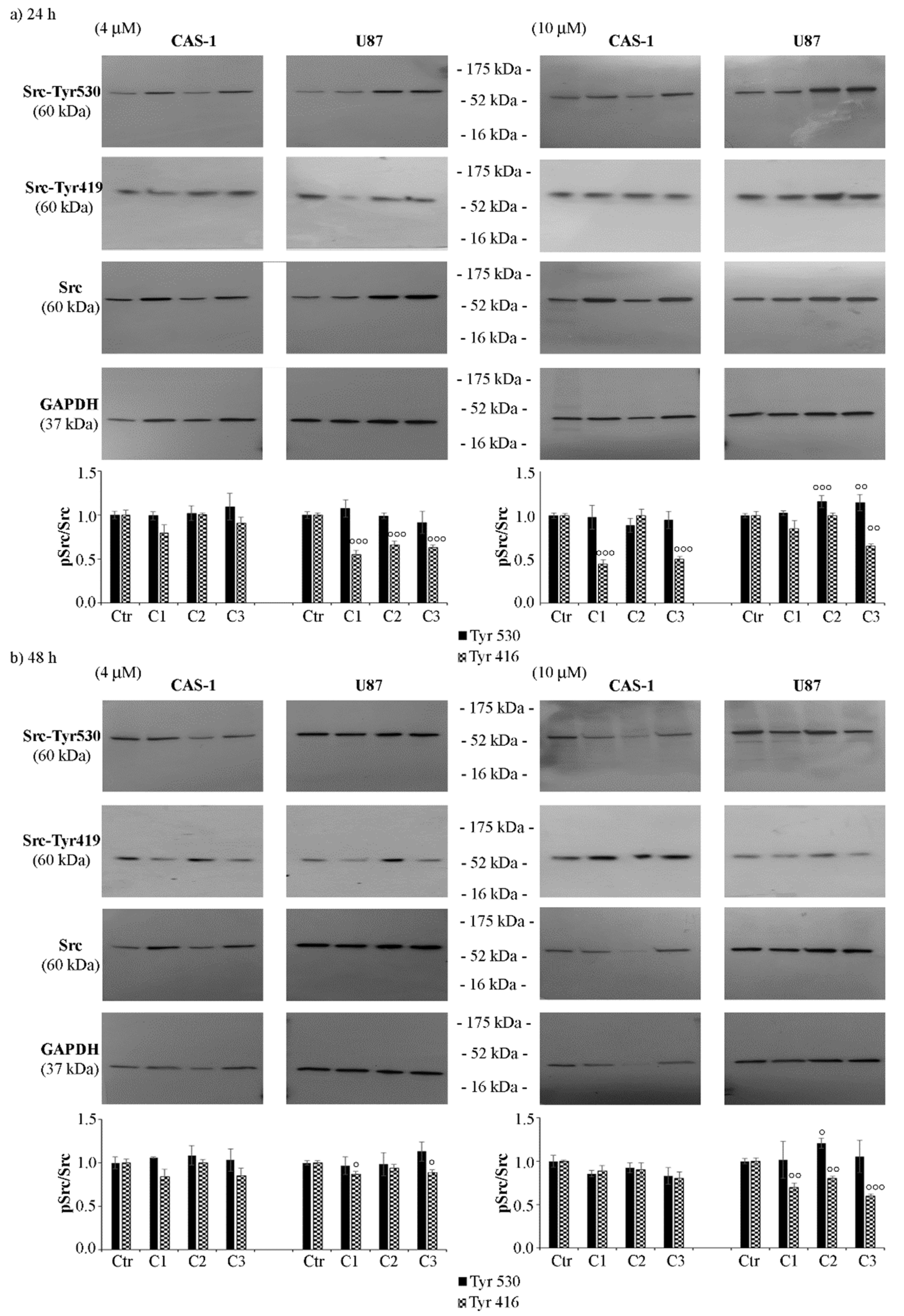 Pharmaceutics 14 01399 g005 Pharmaceutics 14 01399 g005