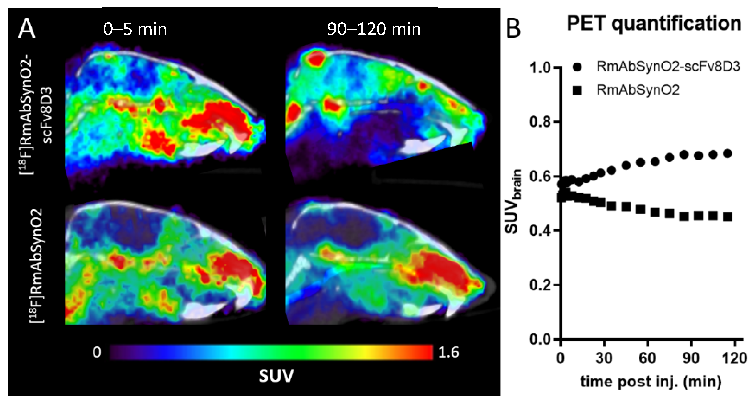 Pharmaceutics 14 01412 g002
