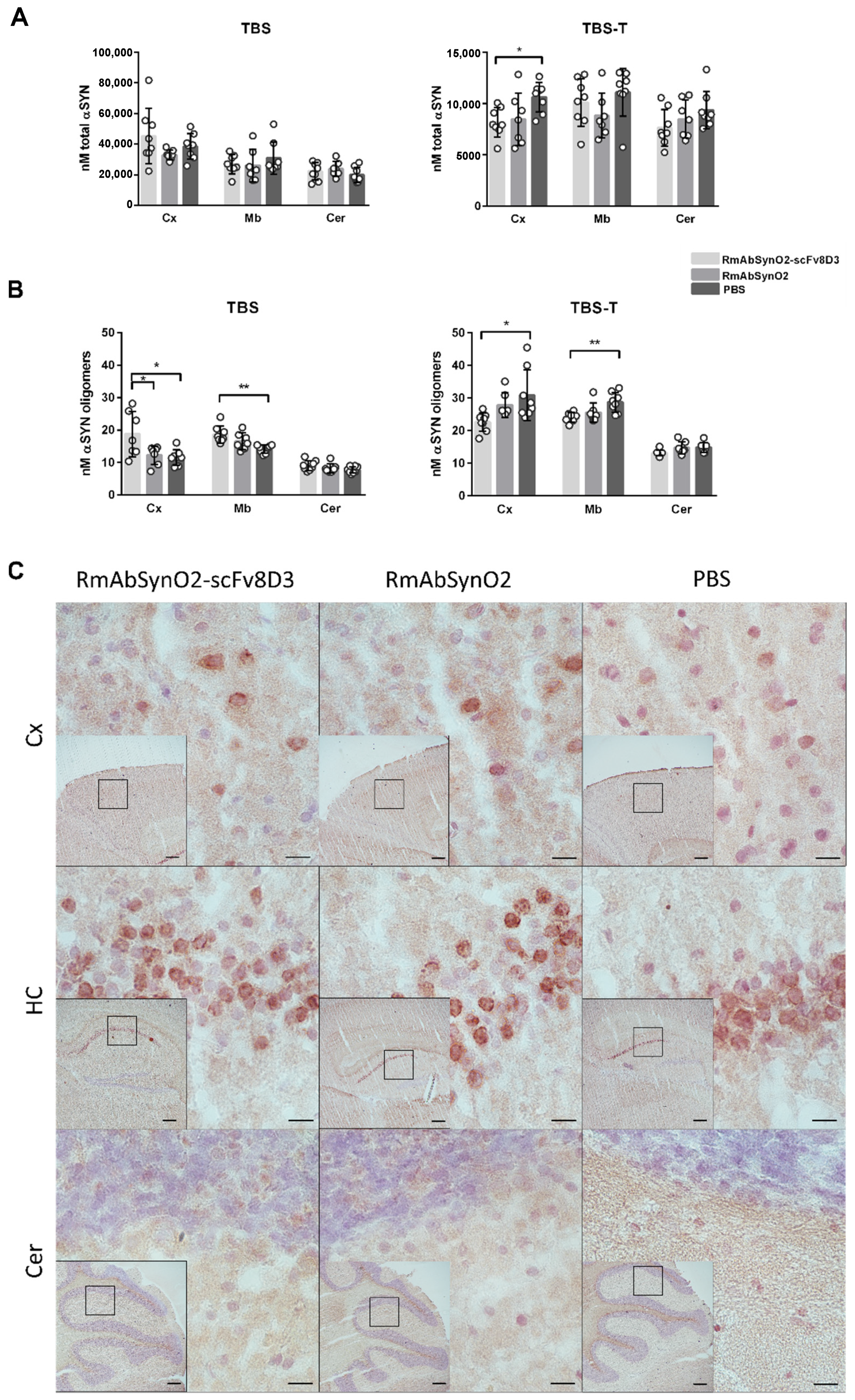 Pharmaceutics 14 01412 g004
