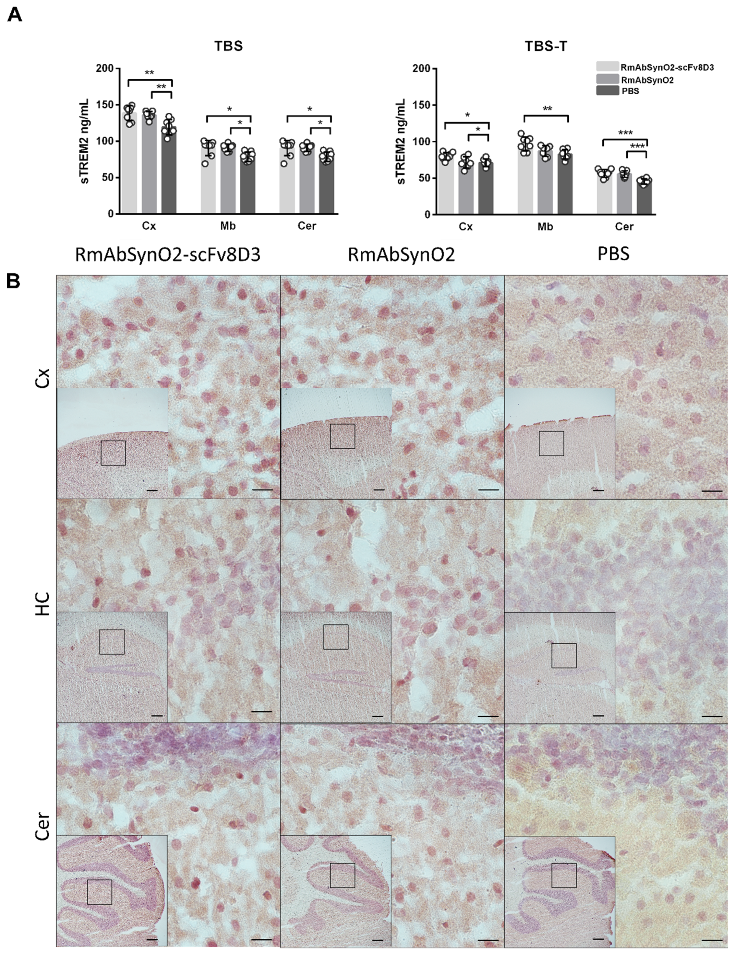 Pharmaceutics 14 01412 g005