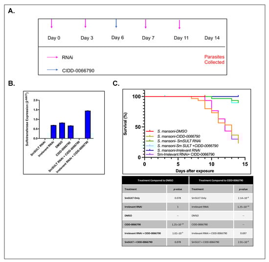Pharmaceutics 14 01416 g002