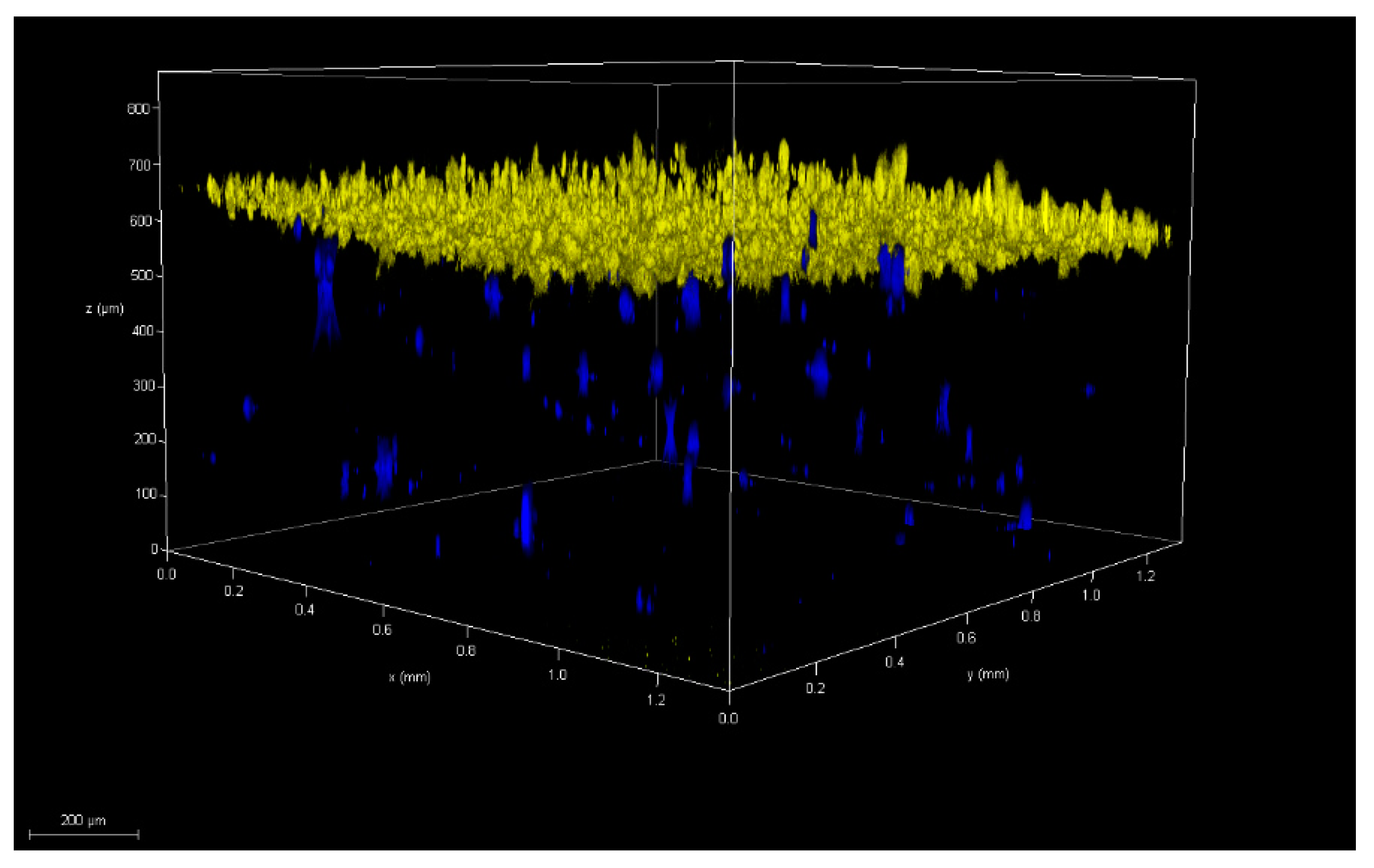 Pharmaceutics 14 01417 g003