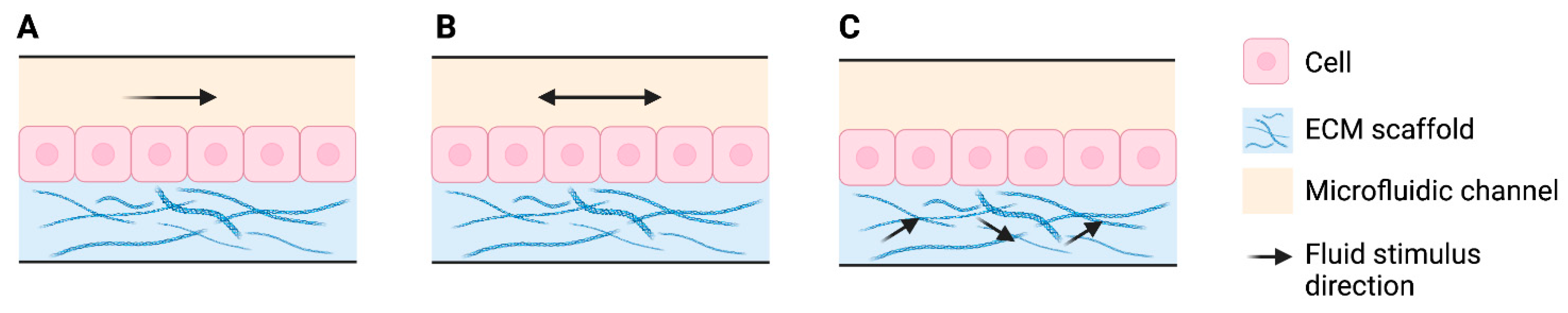 Pharmaceutics 14 01417 g004