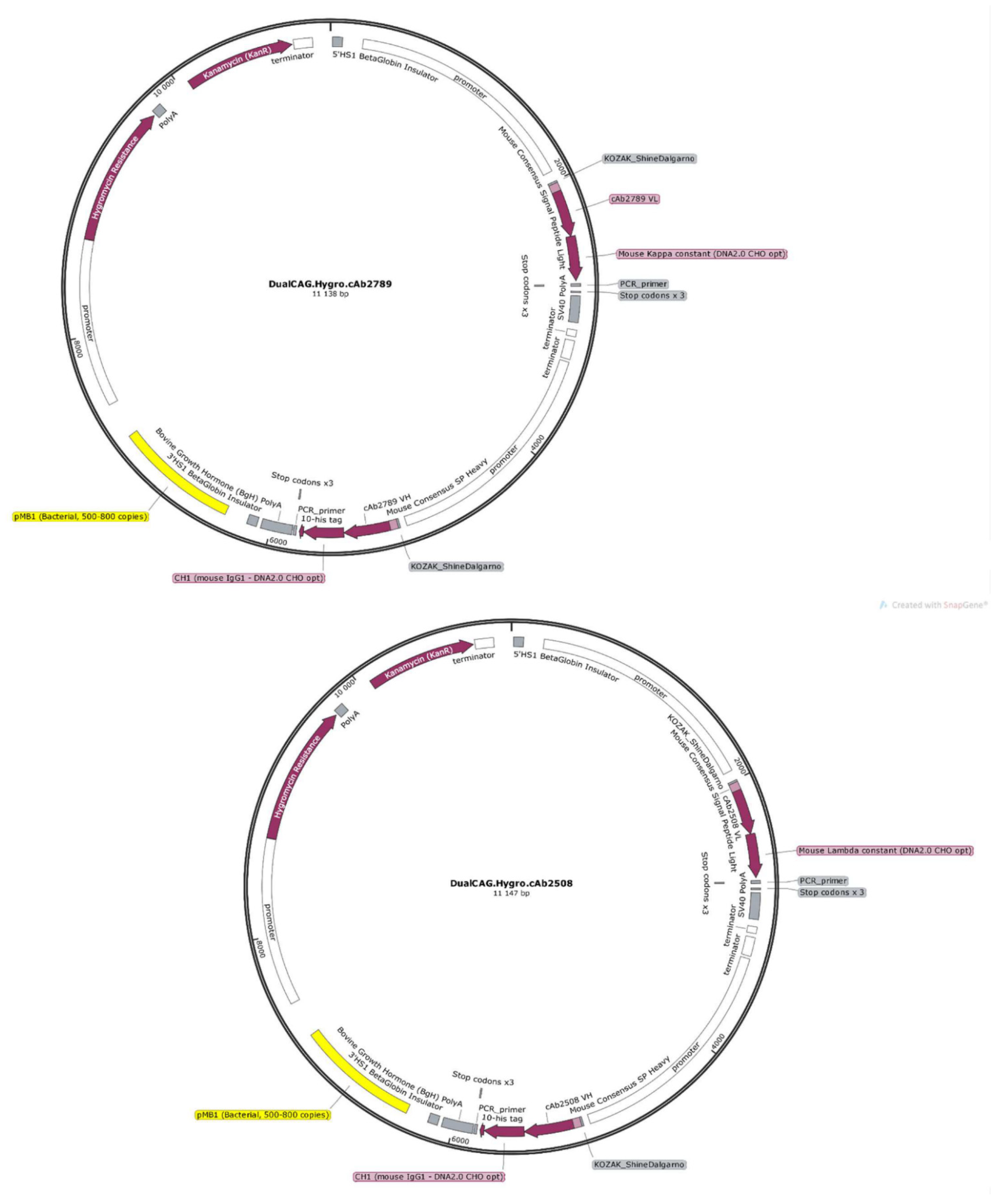 Pharmaceutics 14 01418 g003 Pharmaceutics 14 01418 g003