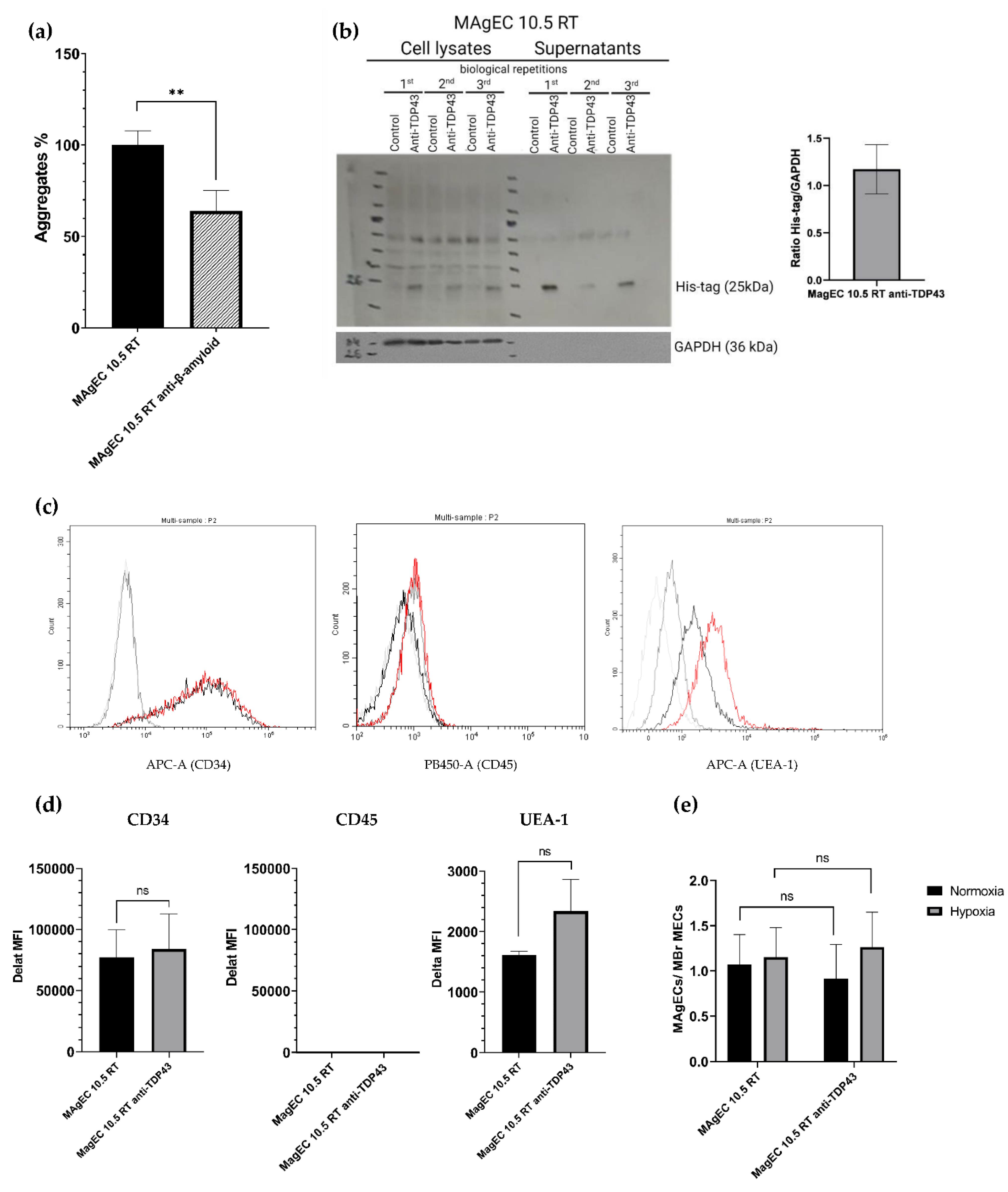 Pharmaceutics 14 01418 g004 Pharmaceutics 14 01418 g004
