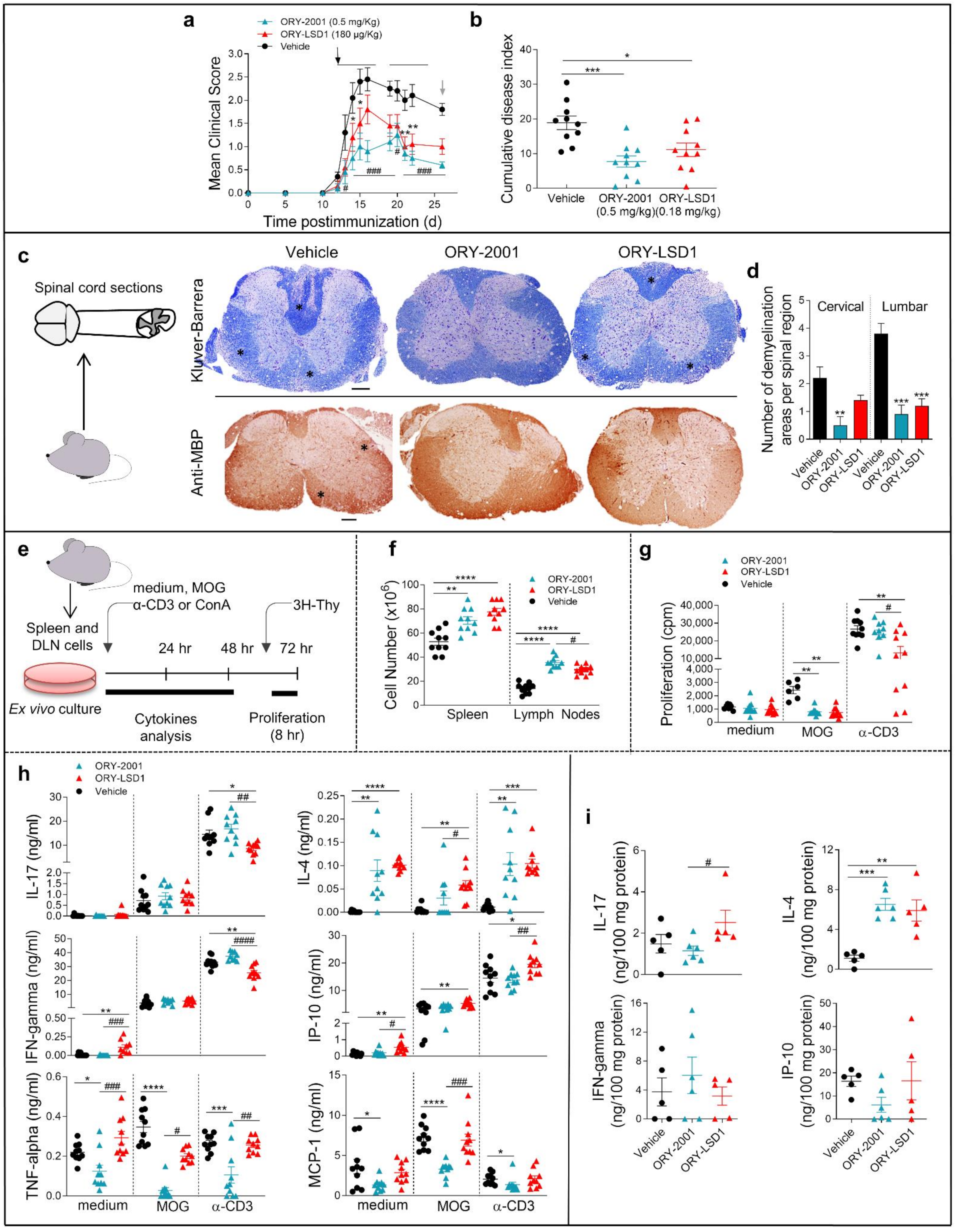 Pharmaceutics 14 01420 g002