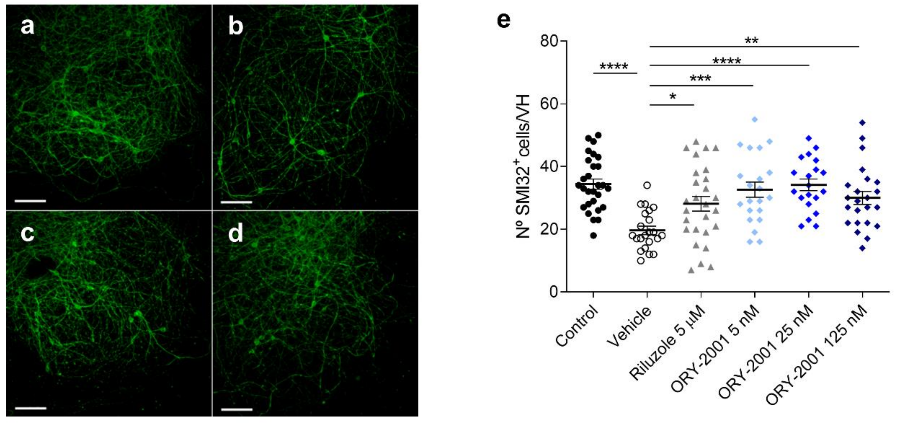 Pharmaceutics 14 01420 g005