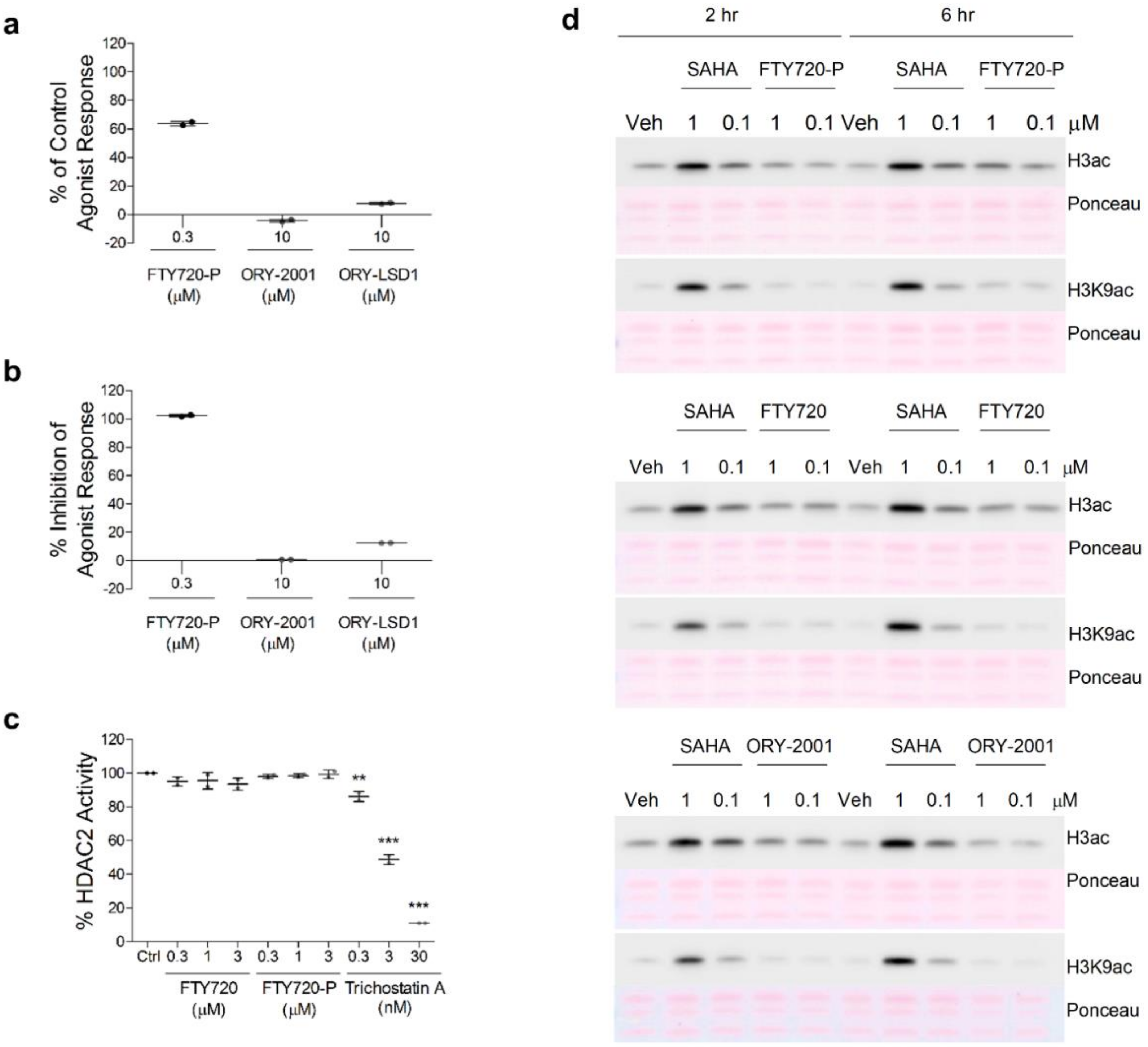 Pharmaceutics 14 01420 g010
