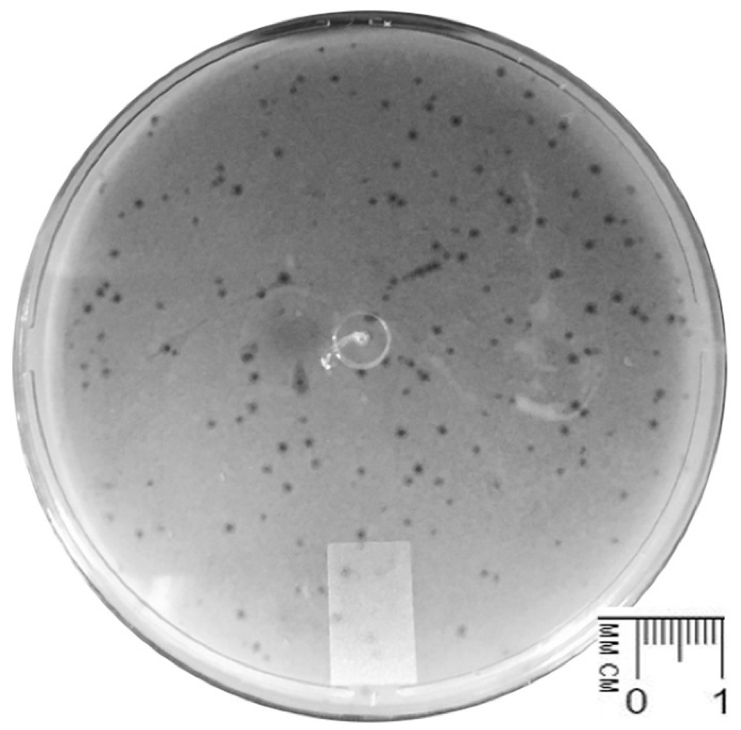 Pharmaceutics 14 01421 g001