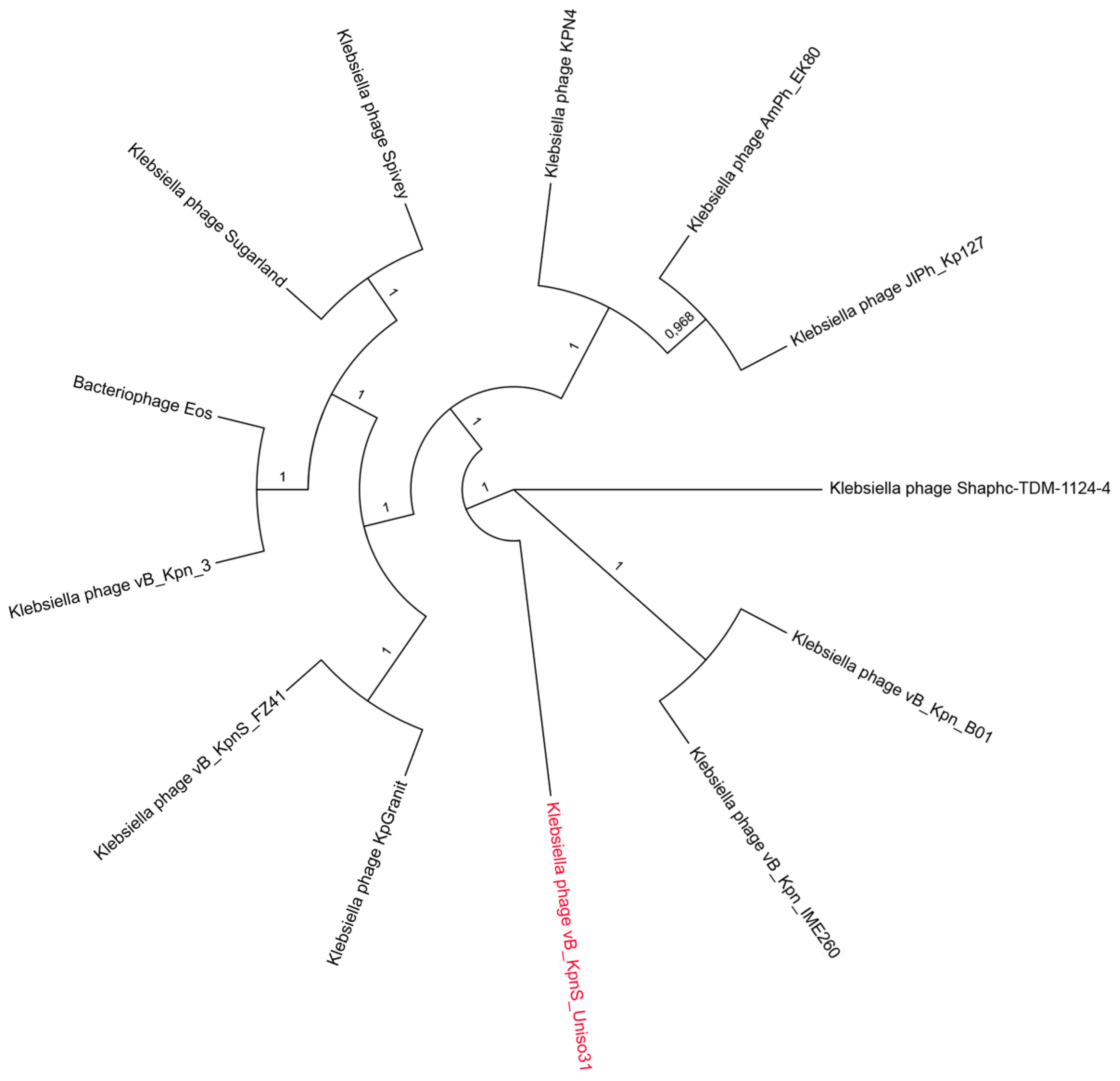 Pharmaceutics 14 01421 g005