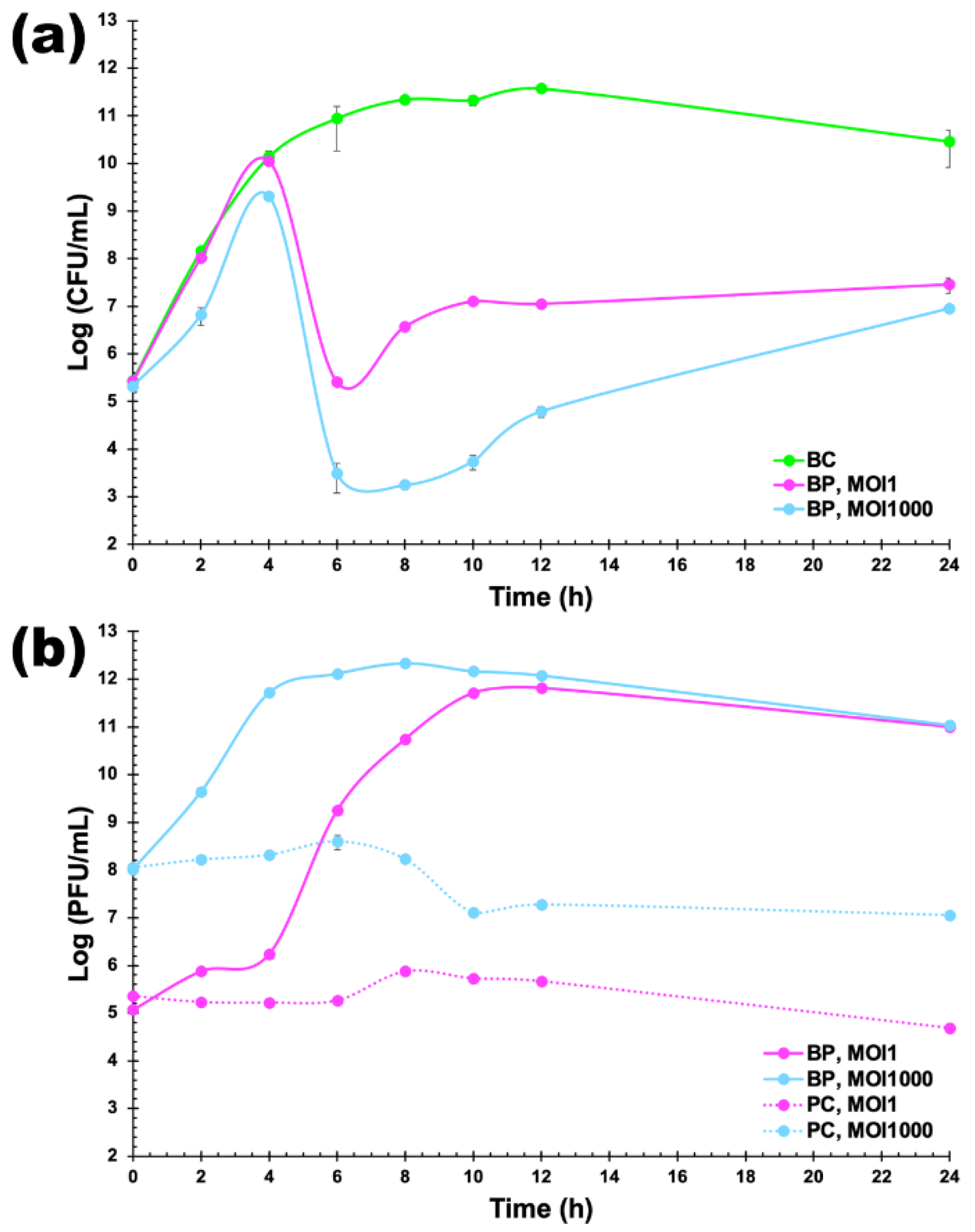 Pharmaceutics 14 01421 g008