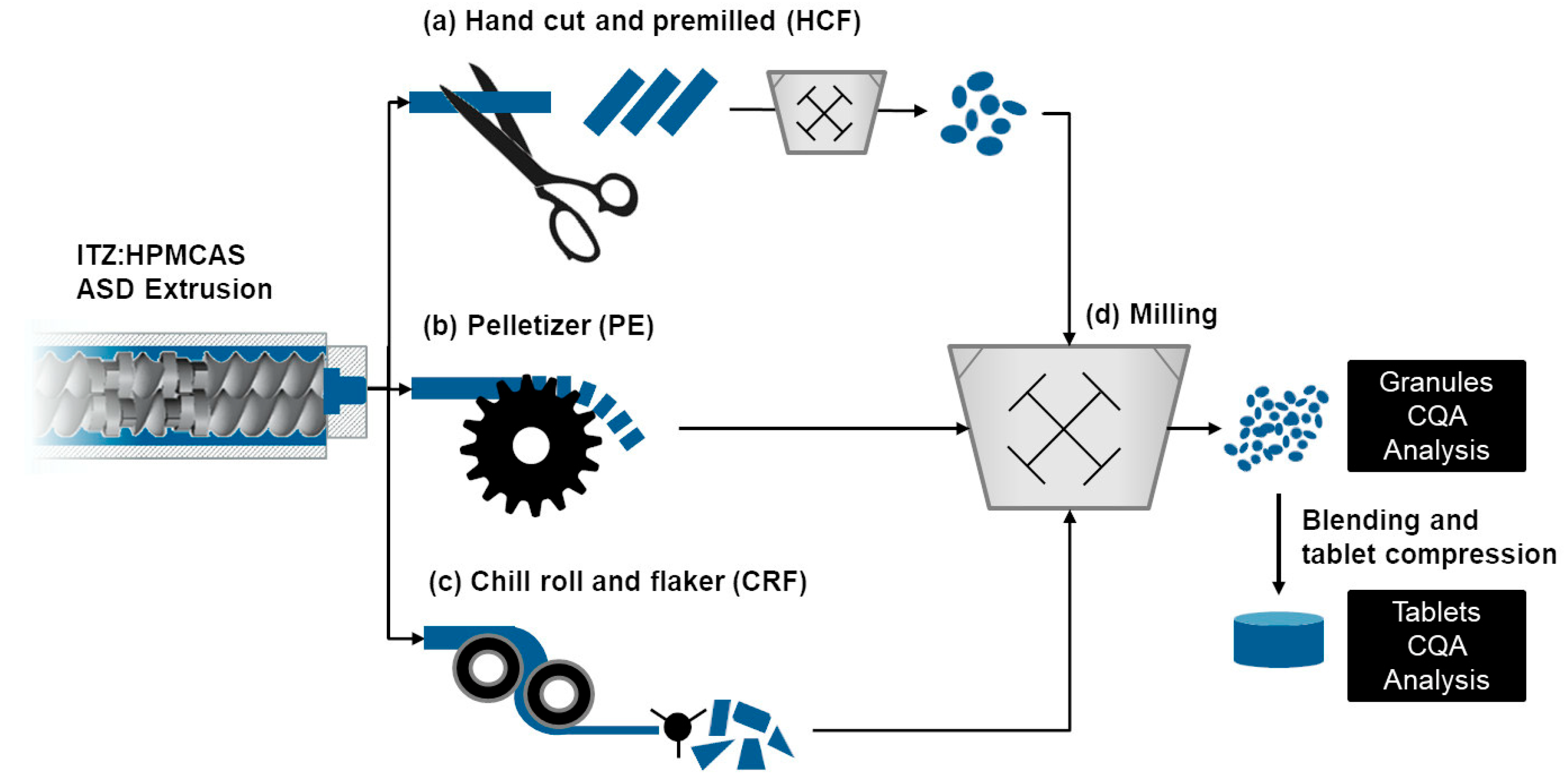 Pharmaceutics 14 01429 g001