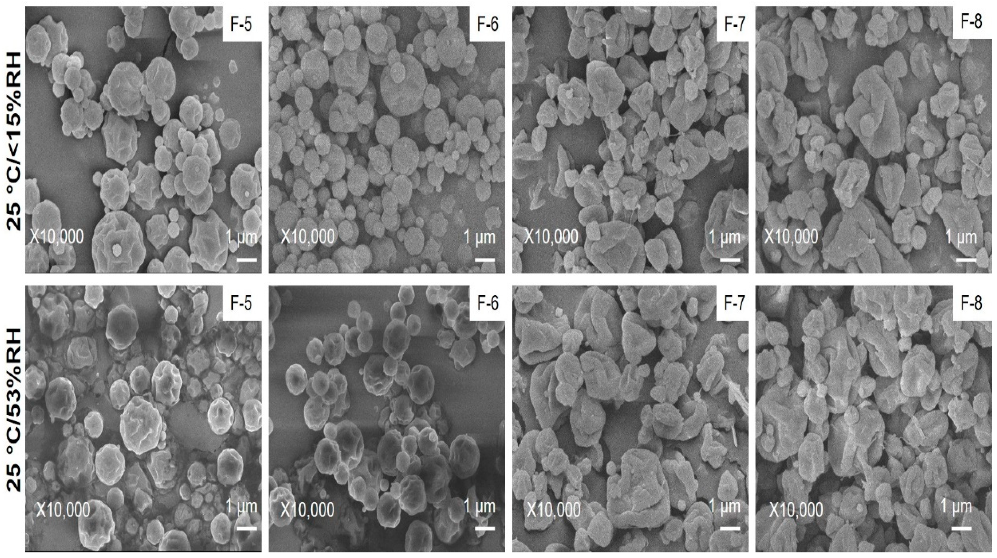 Pharmaceutics 14 01432 g008