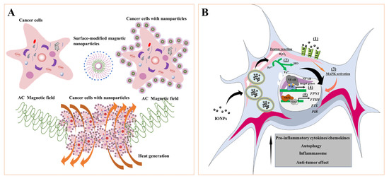 Pharmaceutics 14 01433 g007