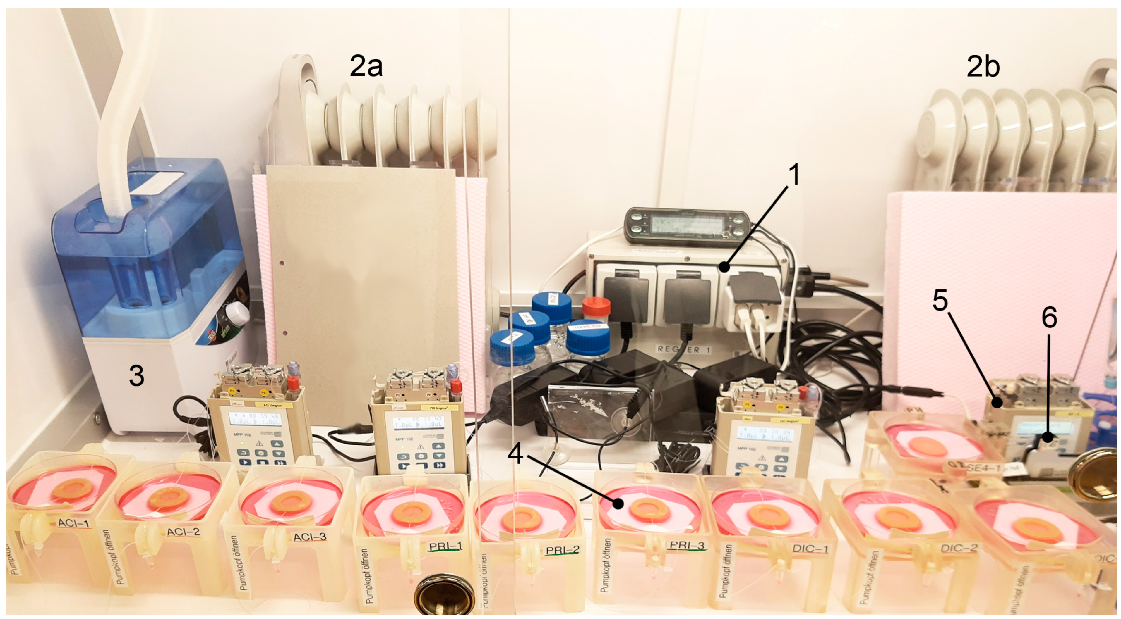 Pharmaceutics 14 01436 g001