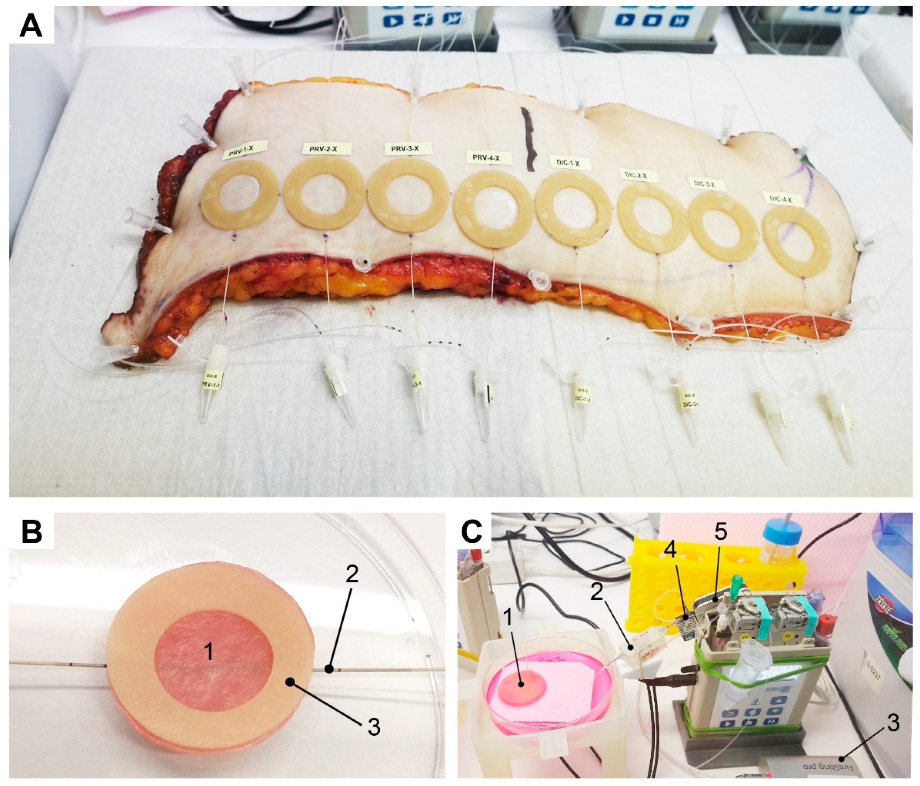 Pharmaceutics 14 01436 g002