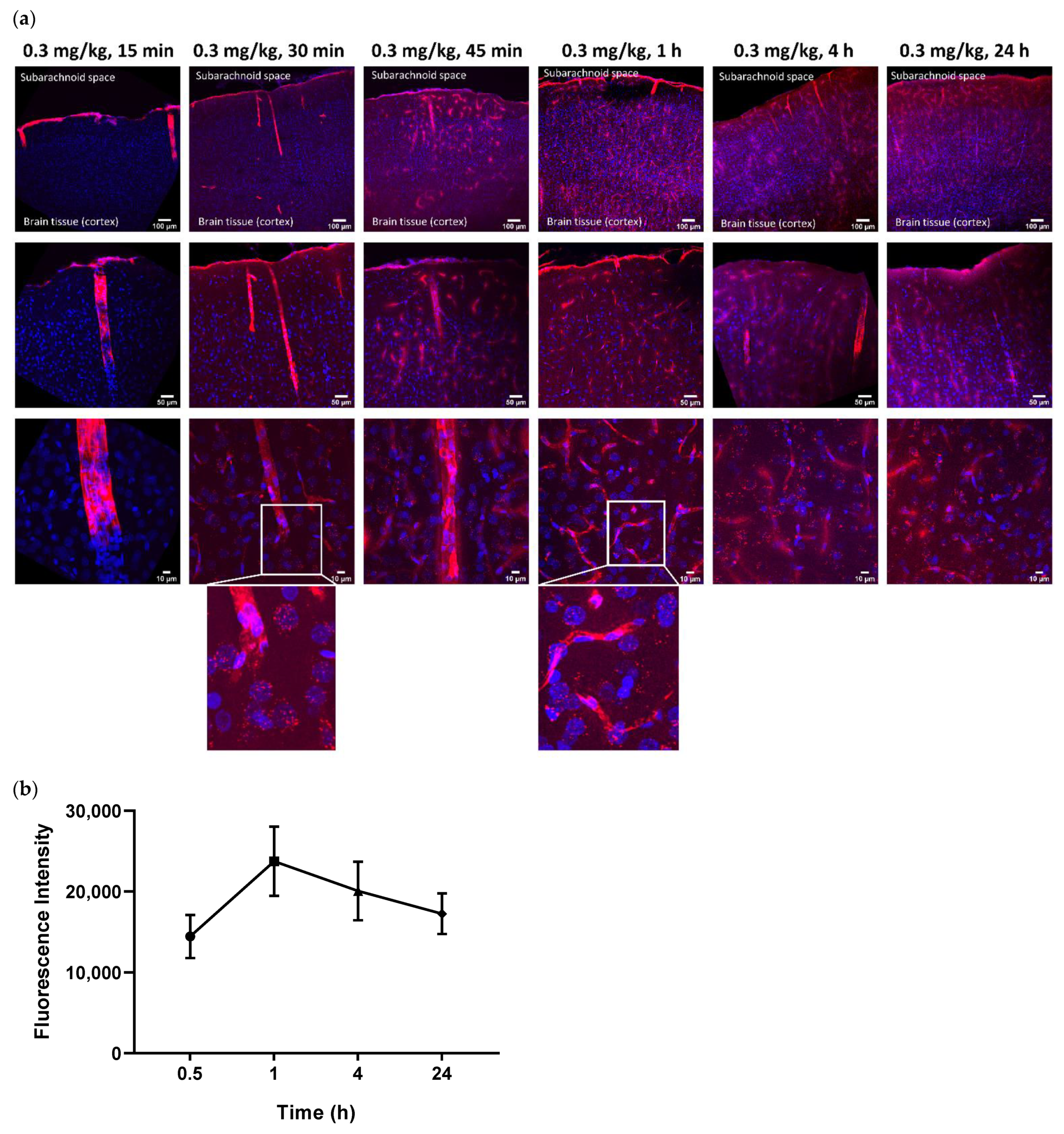Pharmaceutics 14 01441 g001