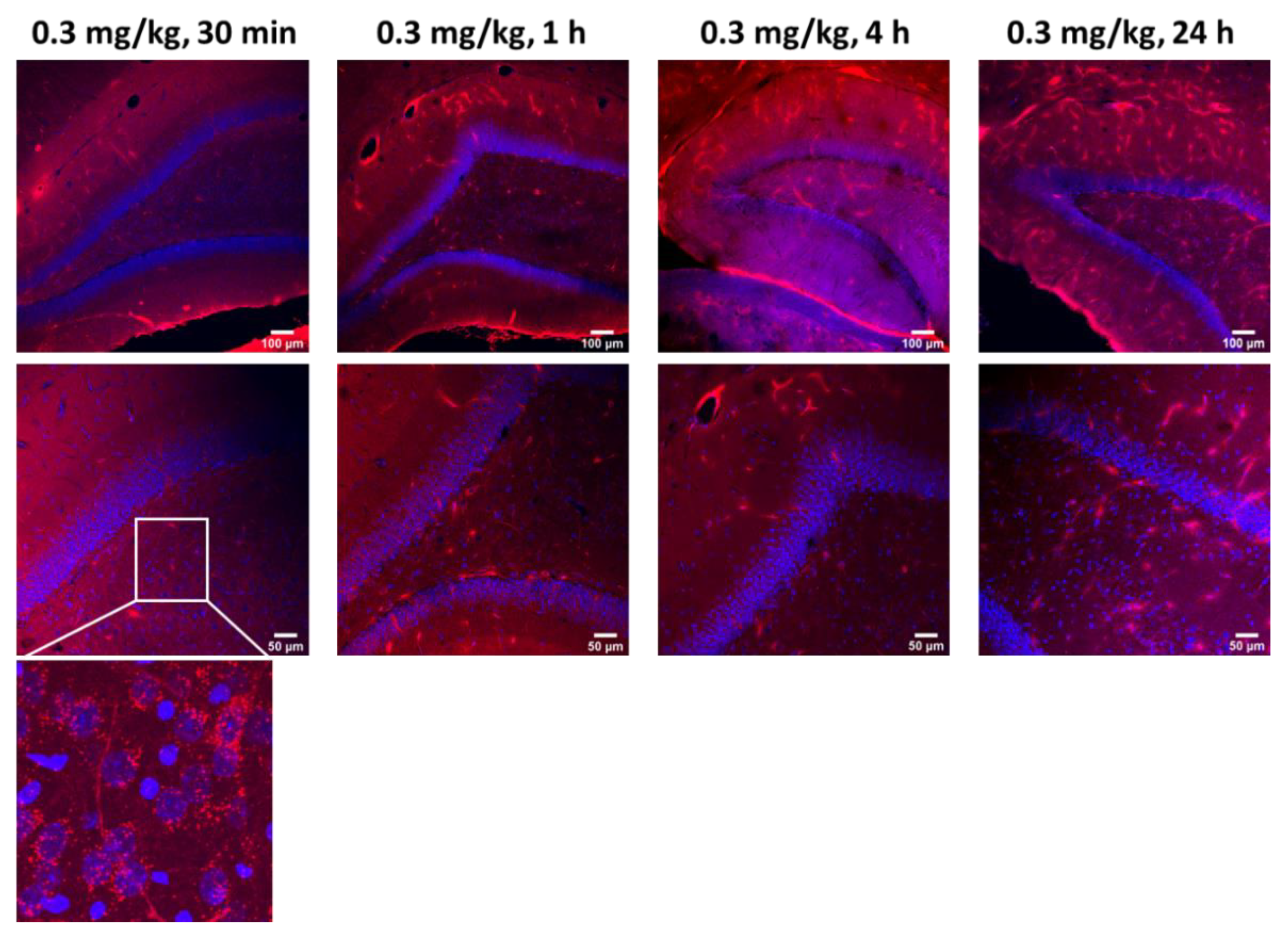 Pharmaceutics 14 01441 g003