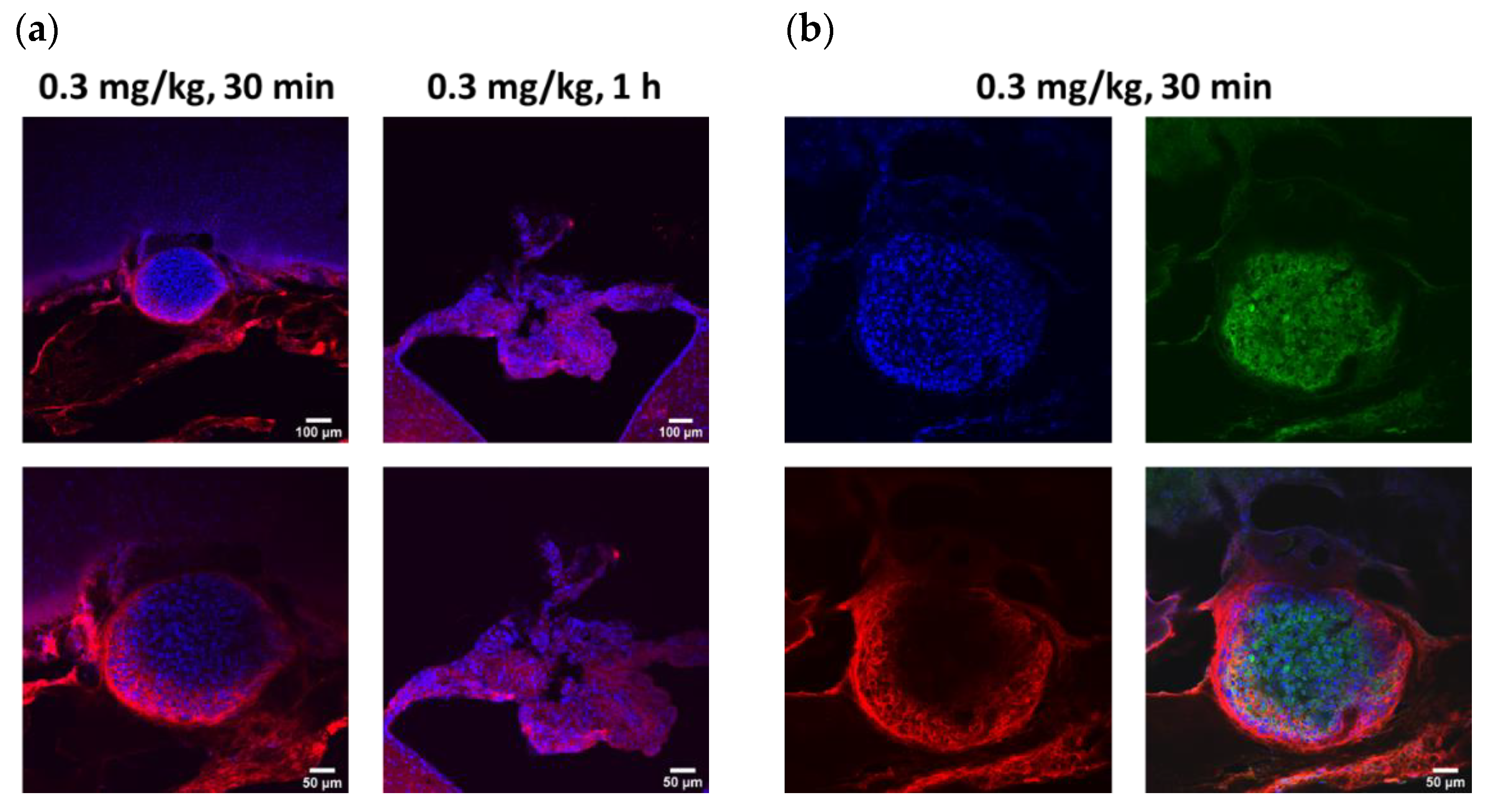 Pharmaceutics 14 01441 g004a