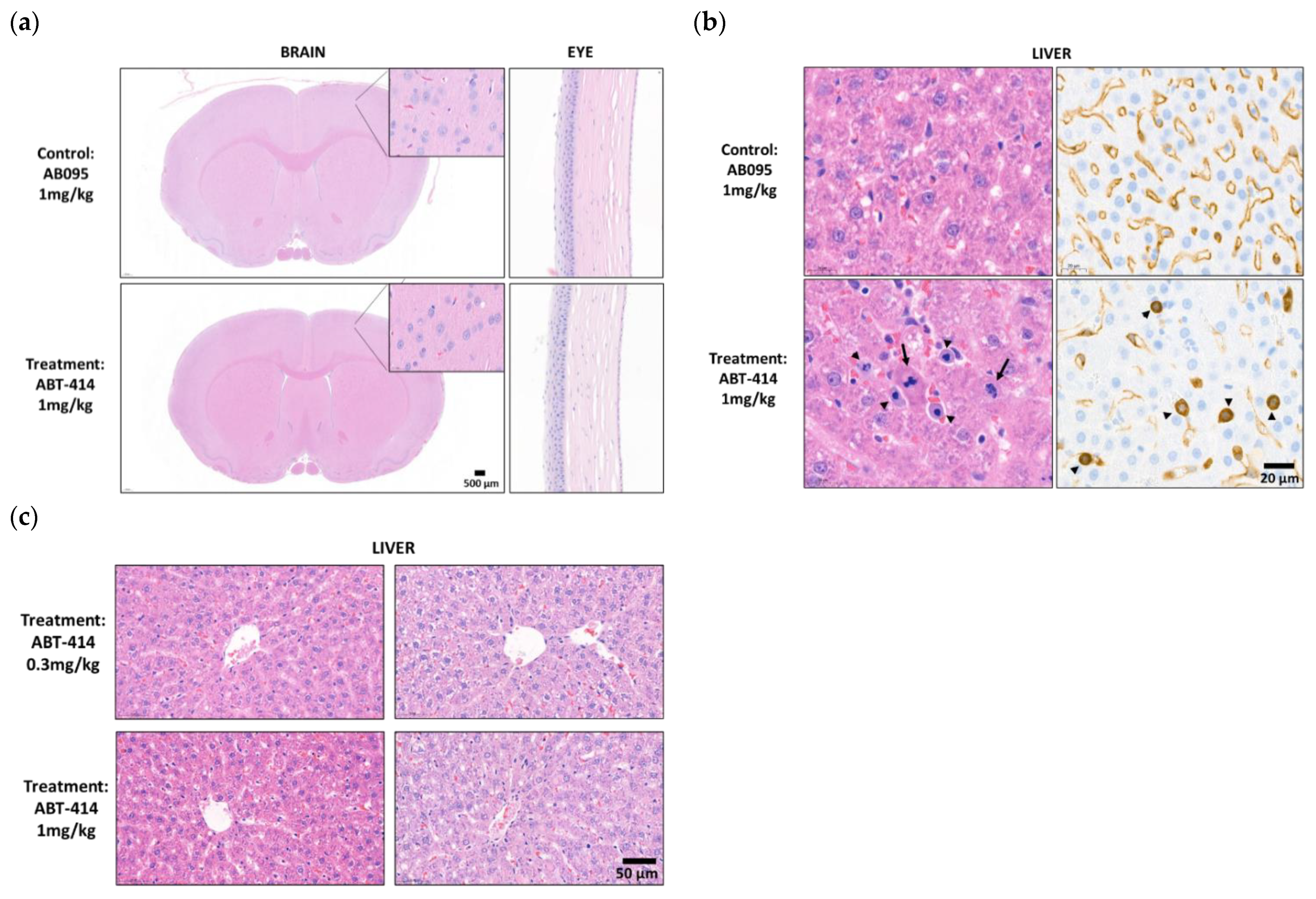 Pharmaceutics 14 01441 g005