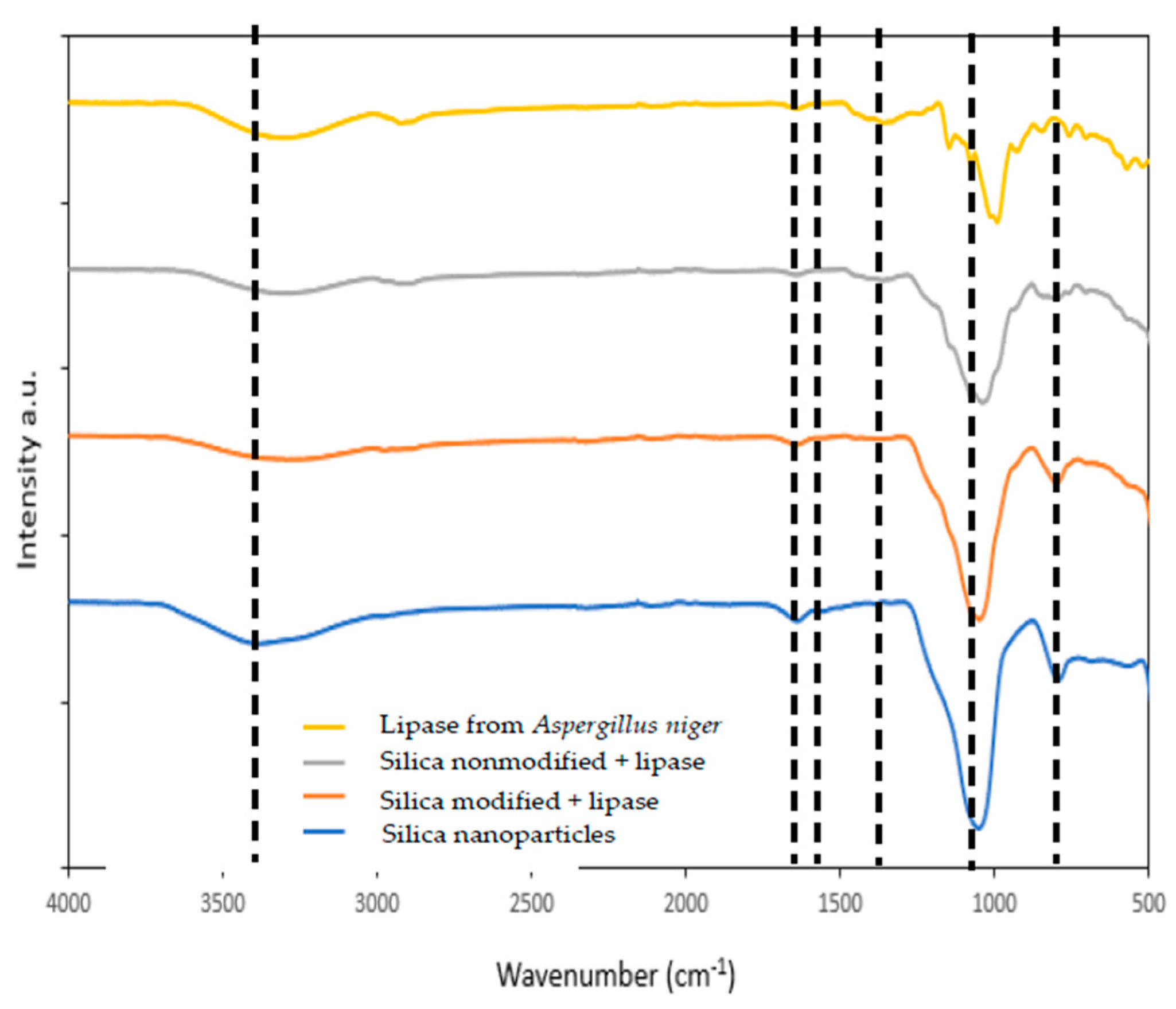 Pharmaceutics 14 01443 g001