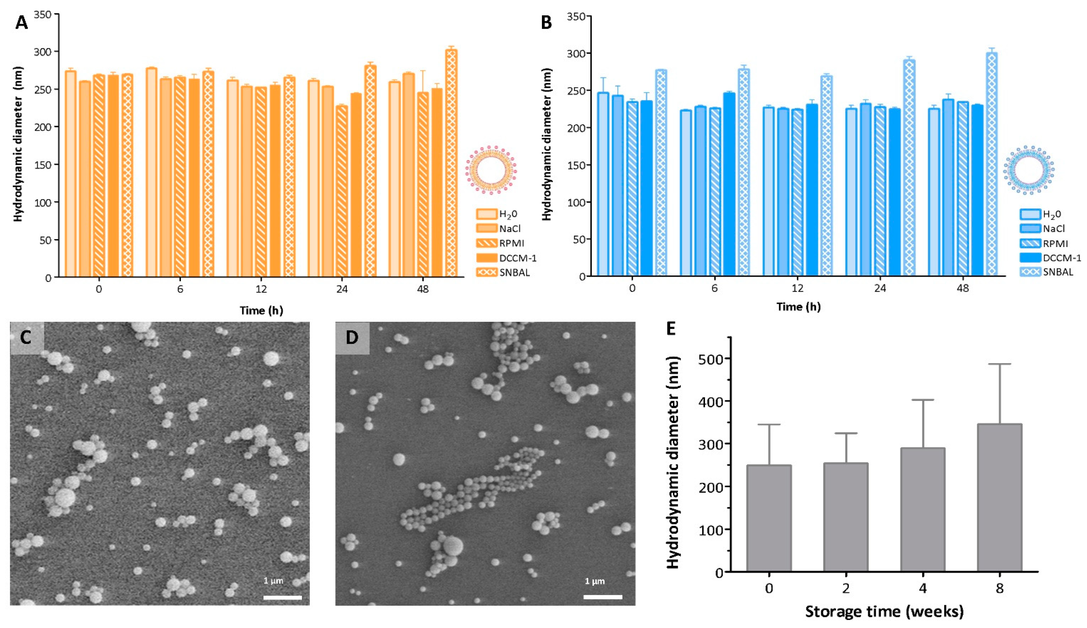 Pharmaceutics 14 01447 g002