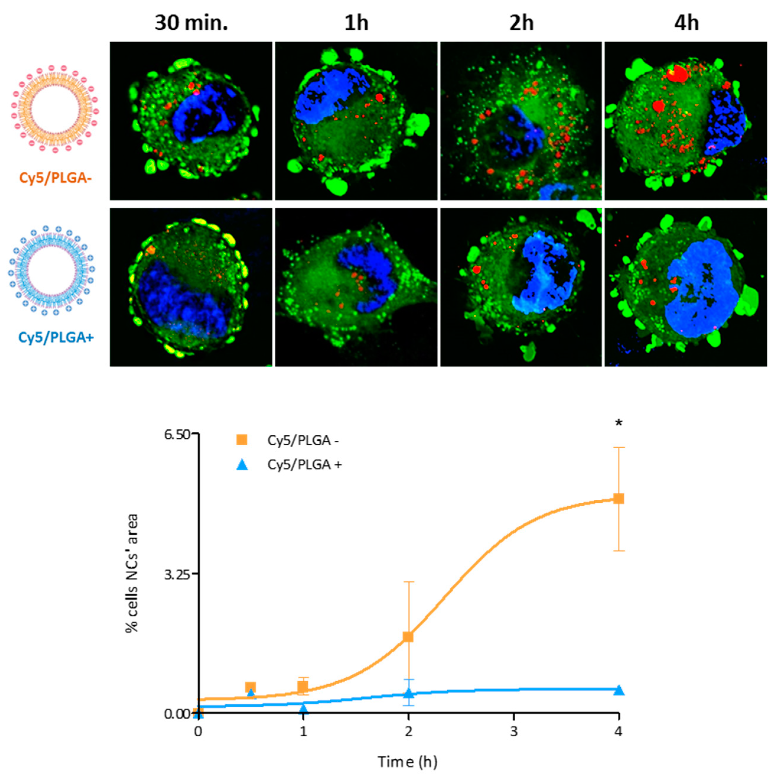 Pharmaceutics 14 01447 g005