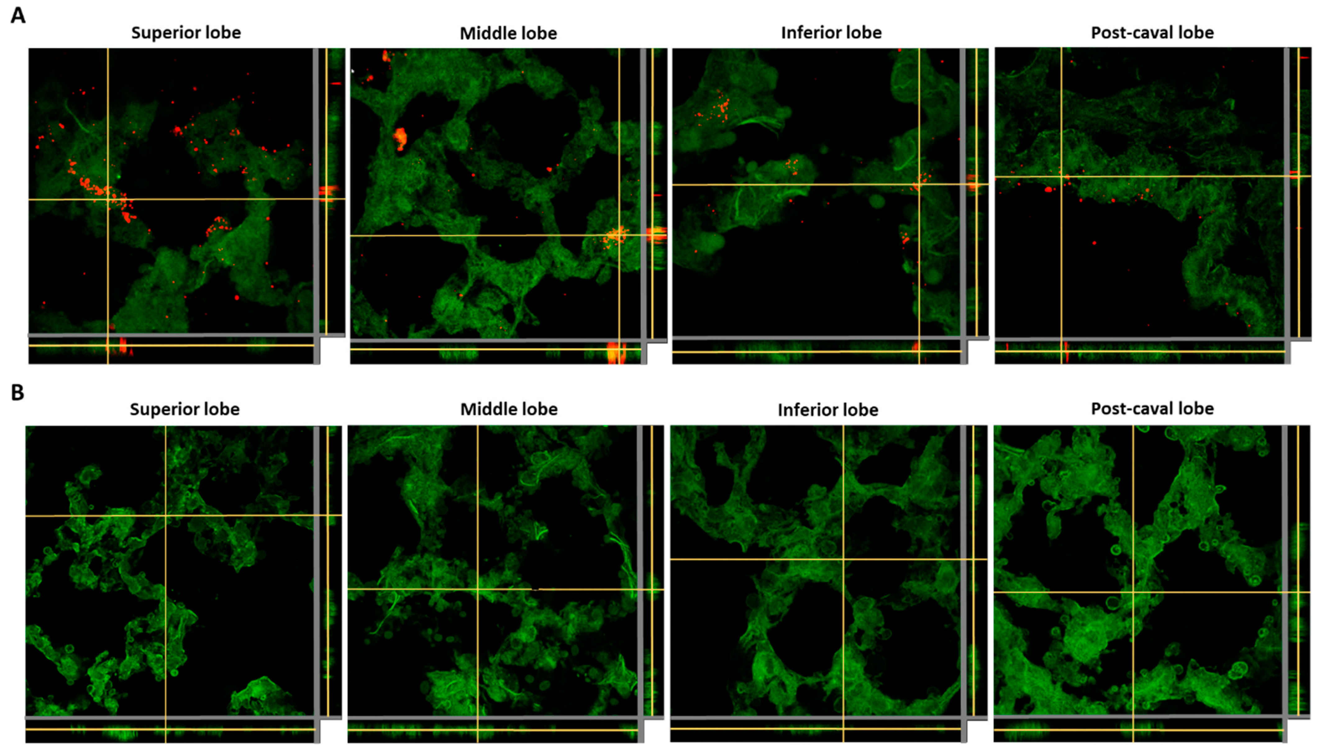 Pharmaceutics 14 01447 g007