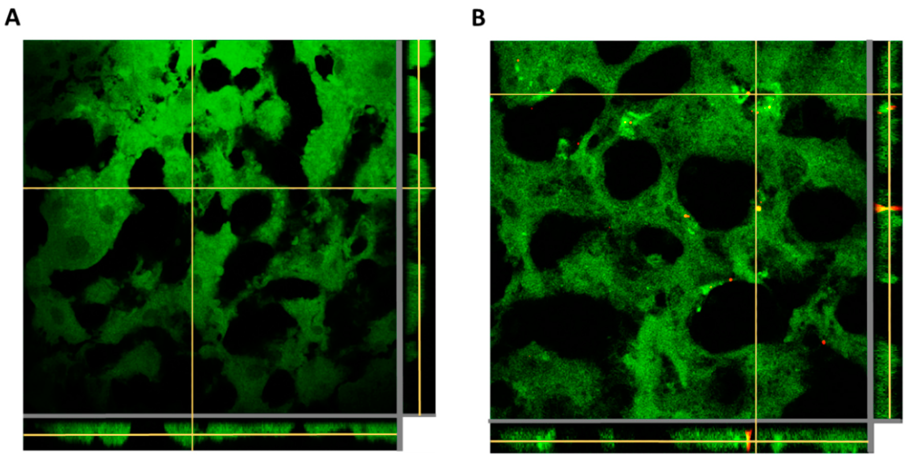 Pharmaceutics 14 01447 g008