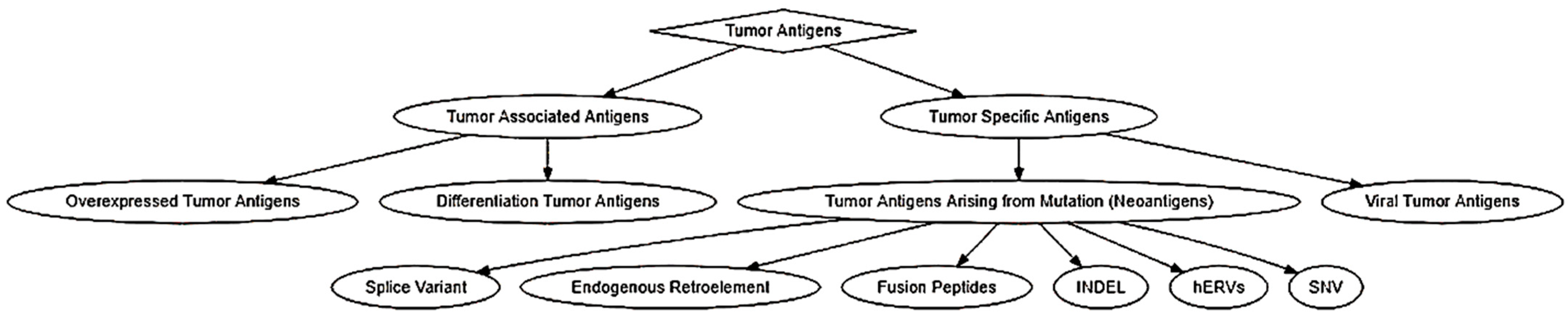 Pharmaceutics 14 01448 g001 Pharmaceutics 14 01448 g001
