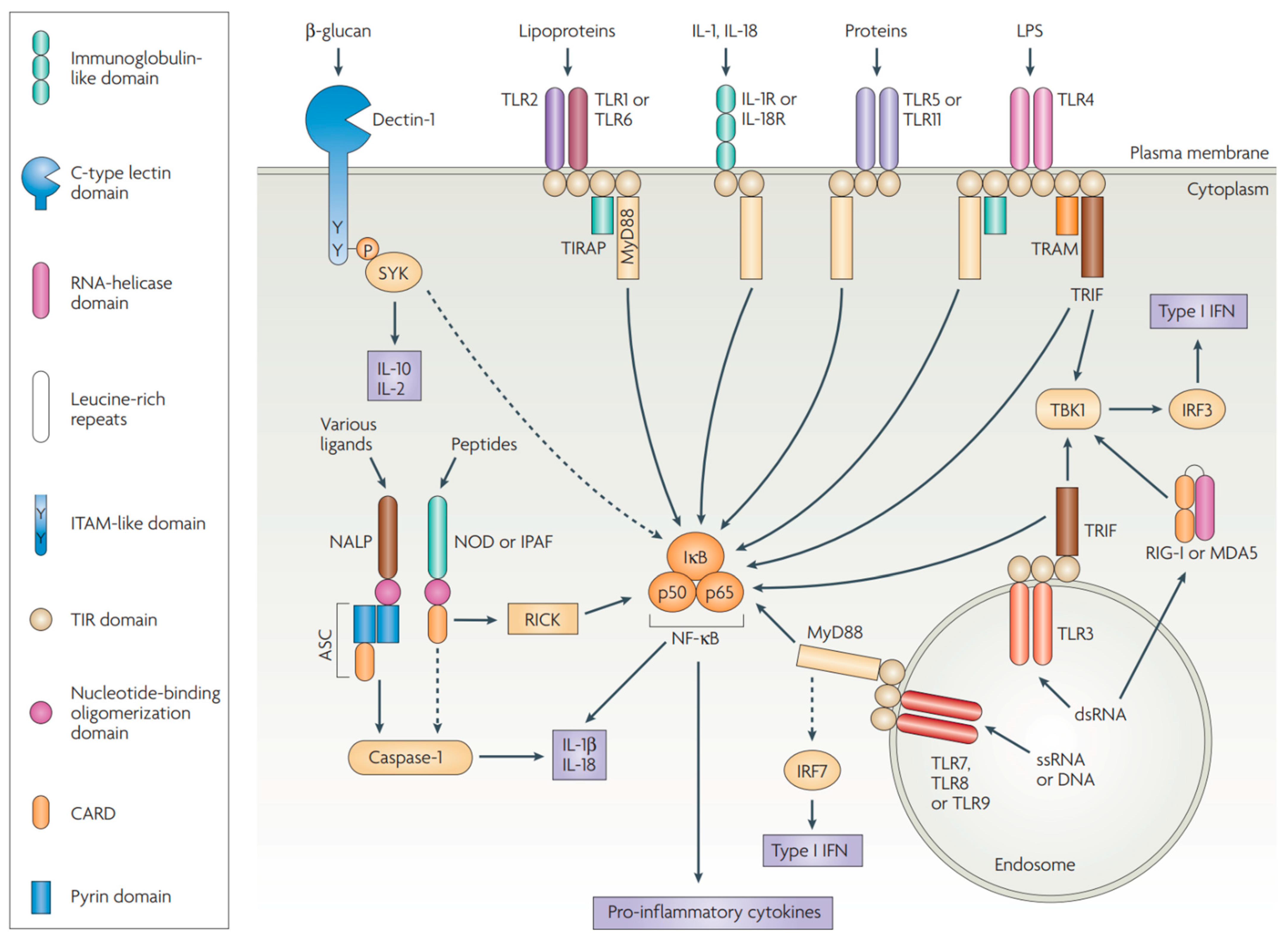 Pharmaceutics 14 01448 g003 Pharmaceutics 14 01448 g003