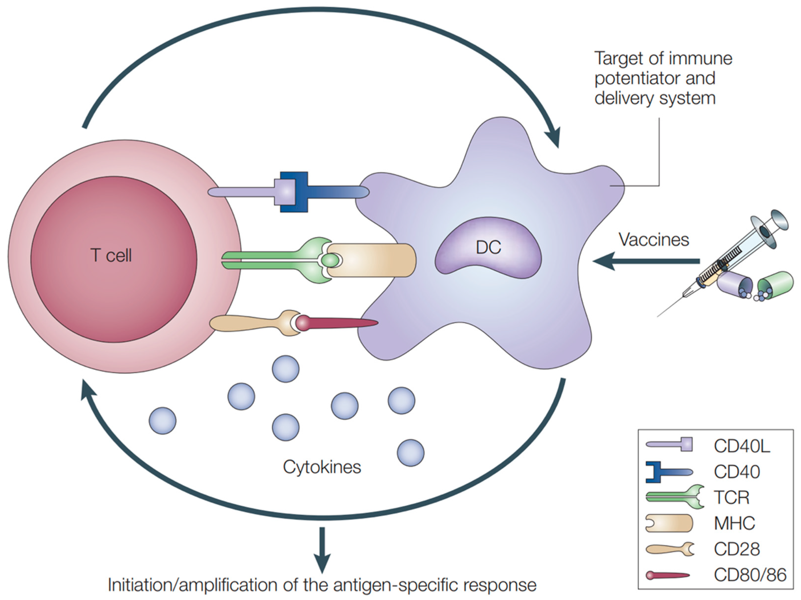 Pharmaceutics 14 01448 g004 Pharmaceutics 14 01448 g004