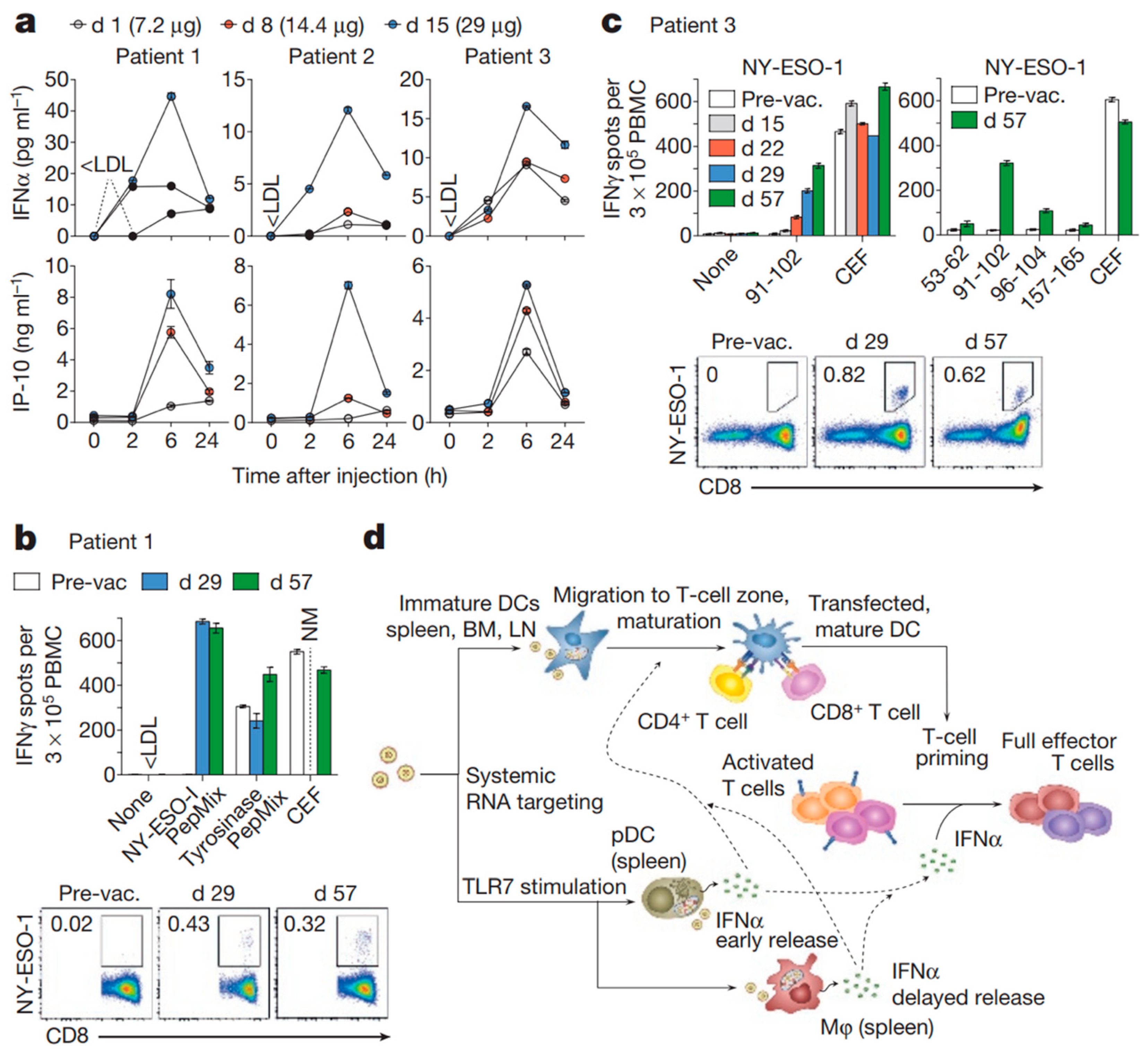 Pharmaceutics 14 01448 g005 Pharmaceutics 14 01448 g005
