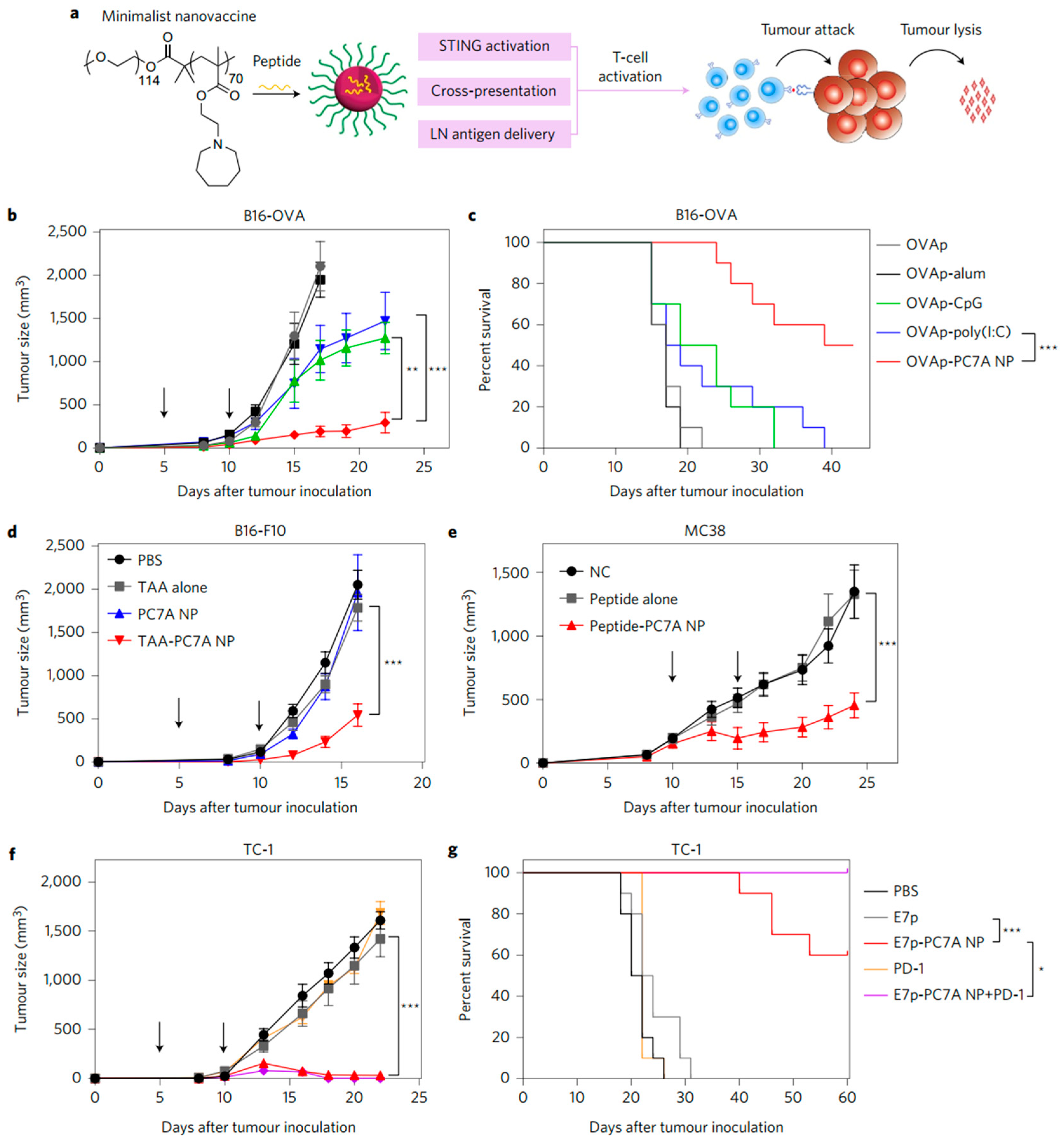 Pharmaceutics 14 01448 g006 Pharmaceutics 14 01448 g006